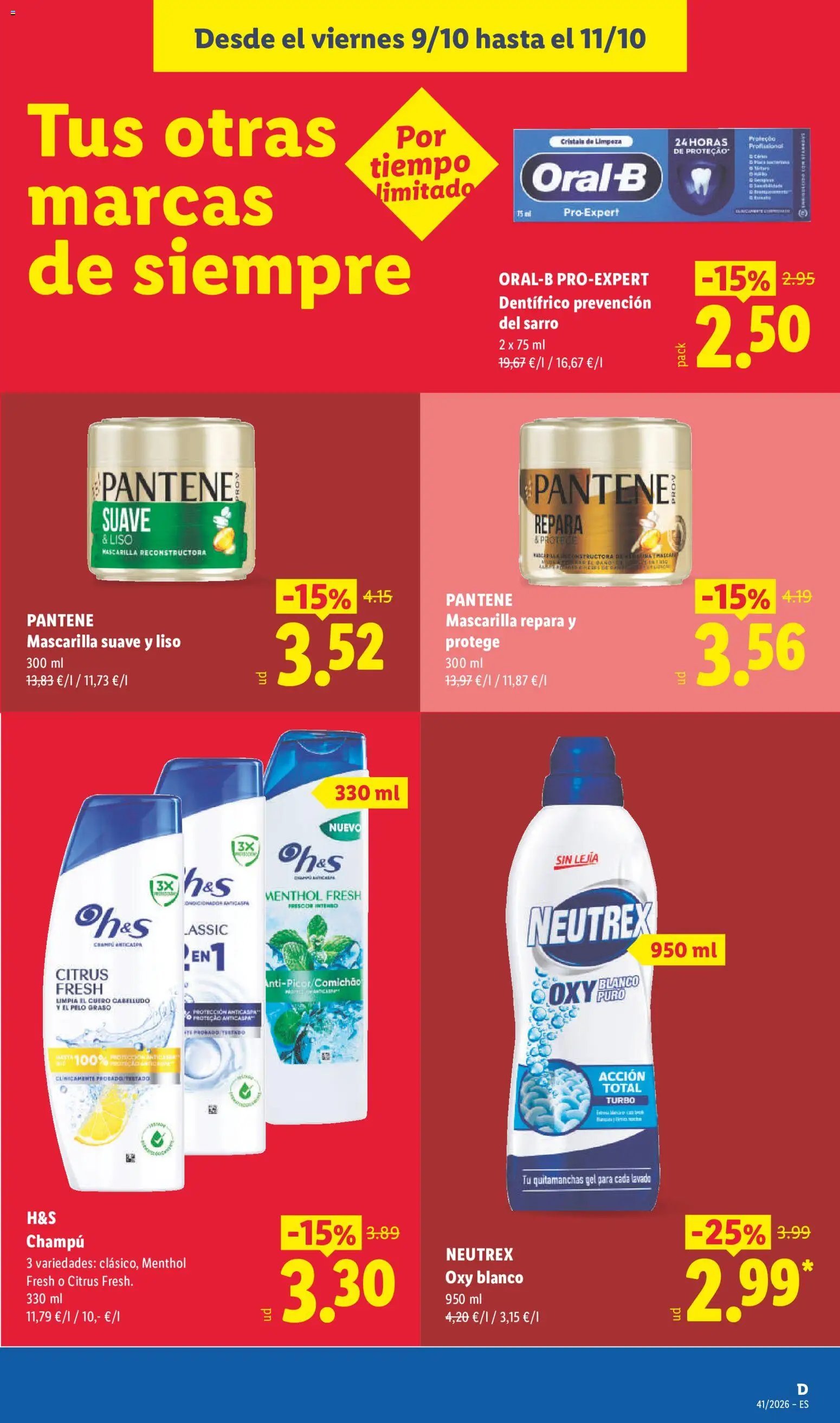 Lidl folleto