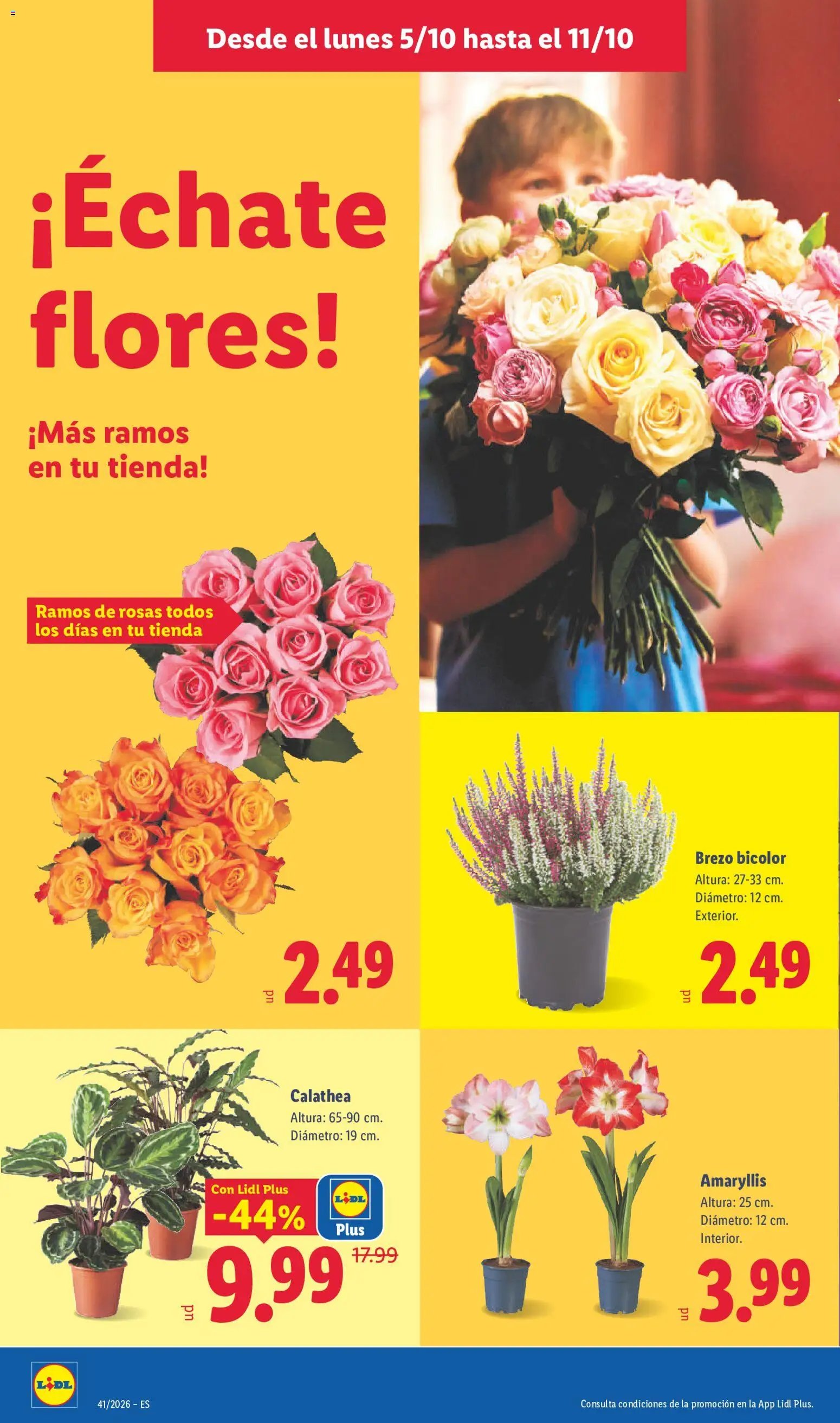 Lidl folleto