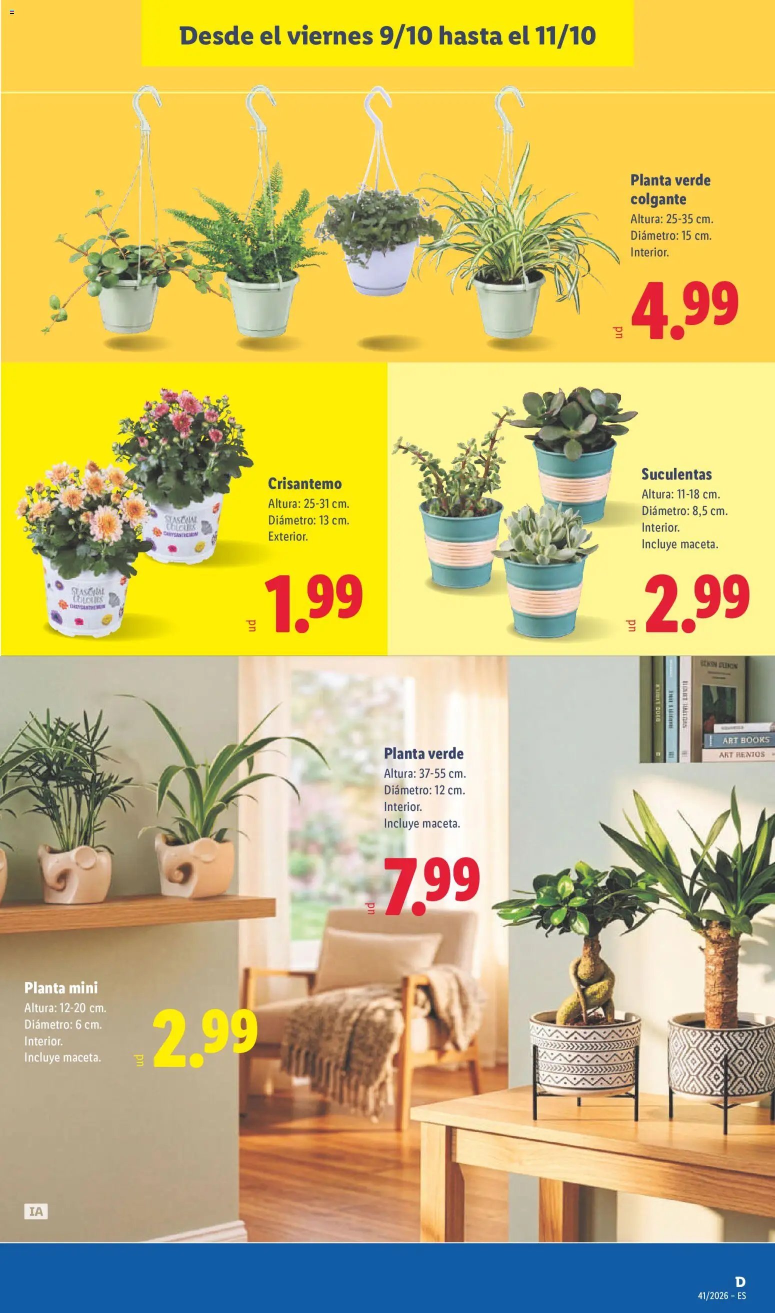 Lidl folleto