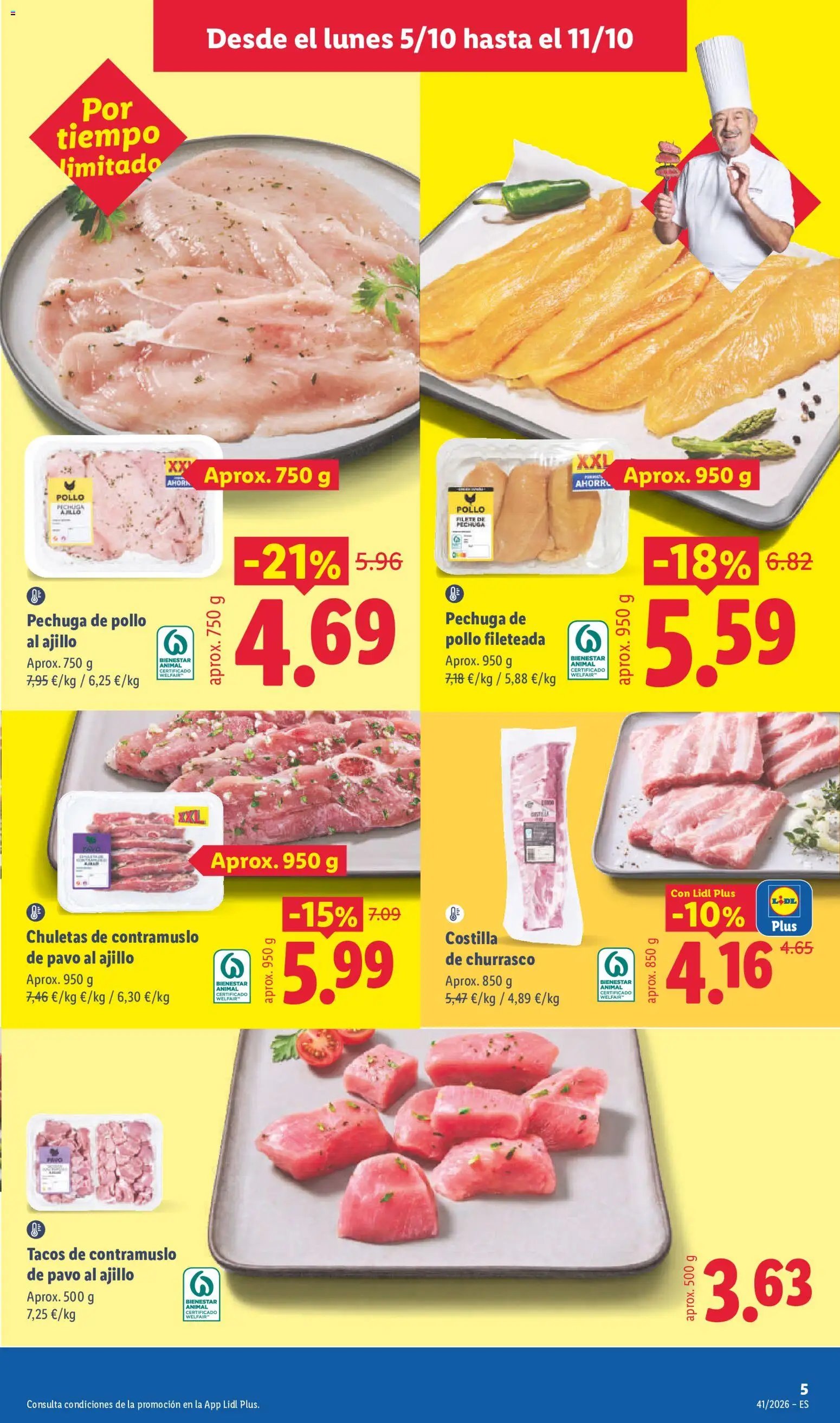 Lidl folleto