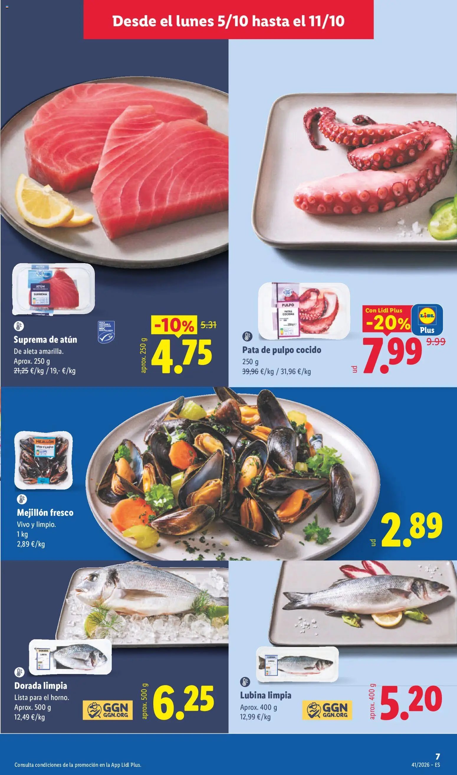 Lidl folleto