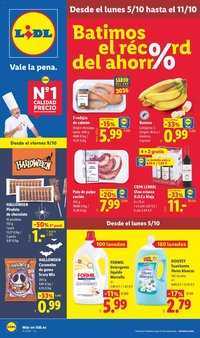 Lidl folleto