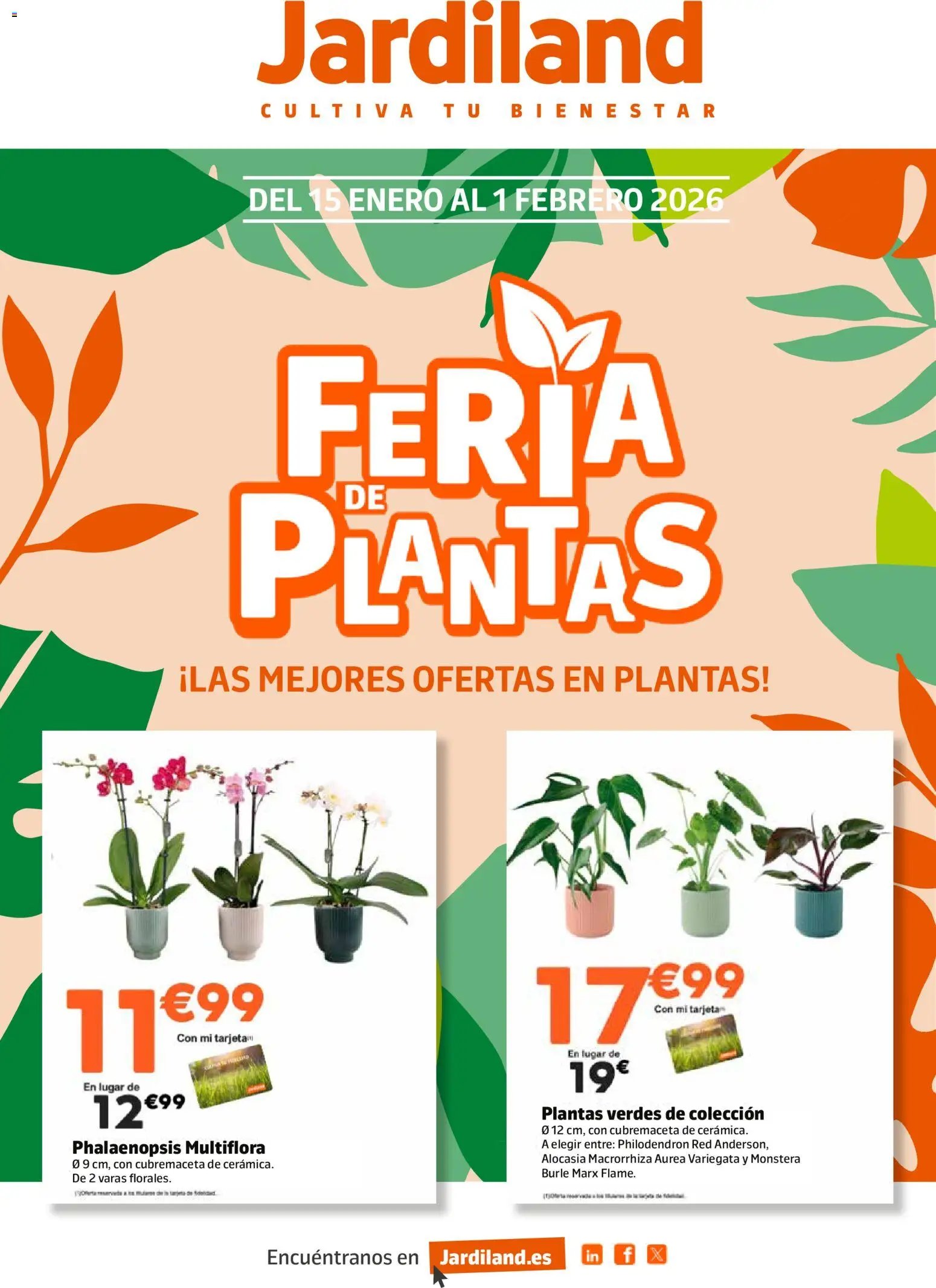 Jardiland folleto