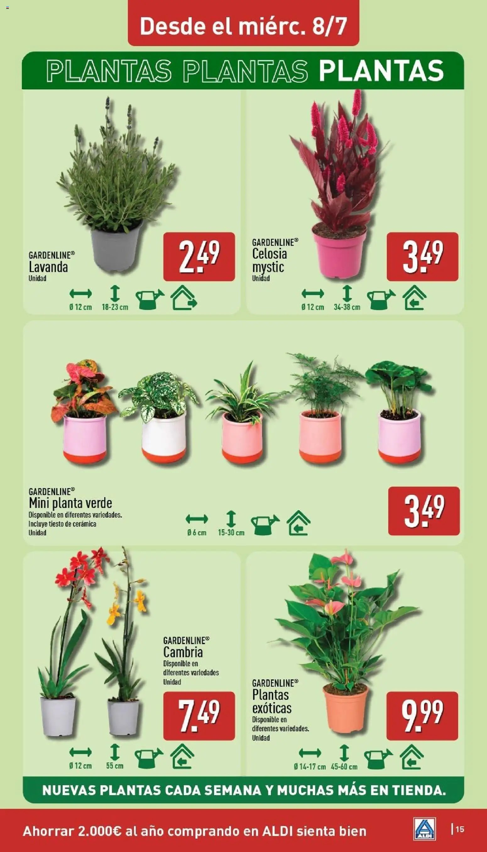 Aldi folleto Península