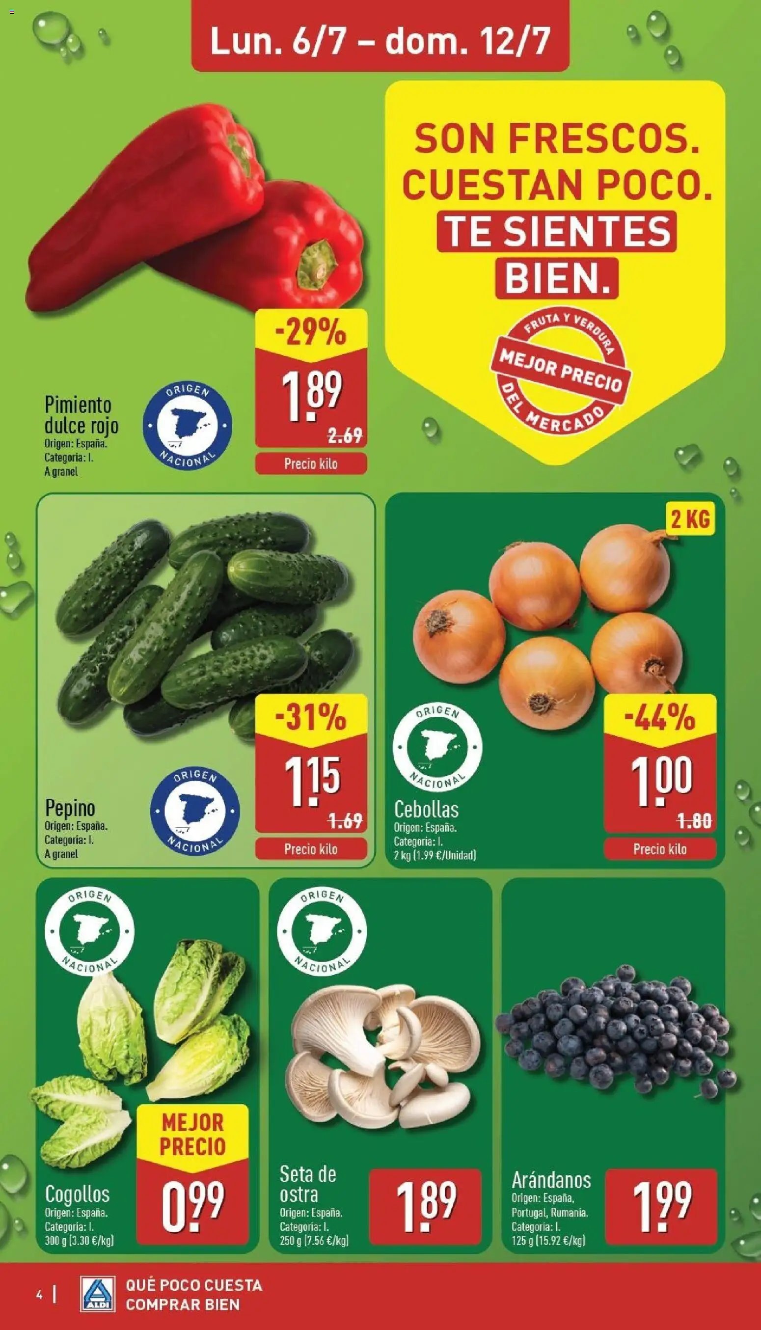 Aldi folleto Península