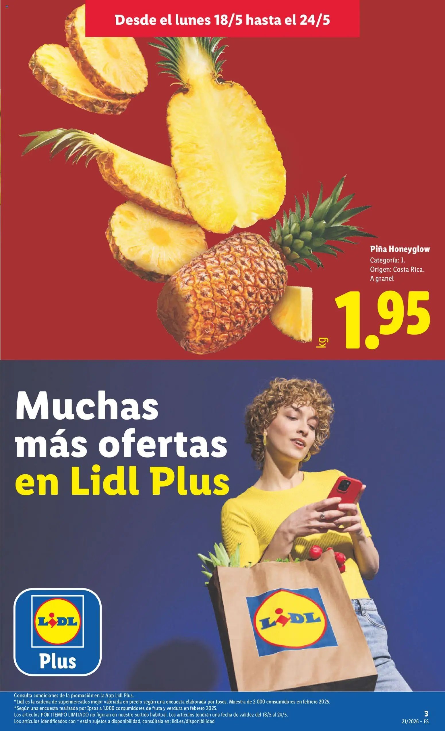 Lidl folleto