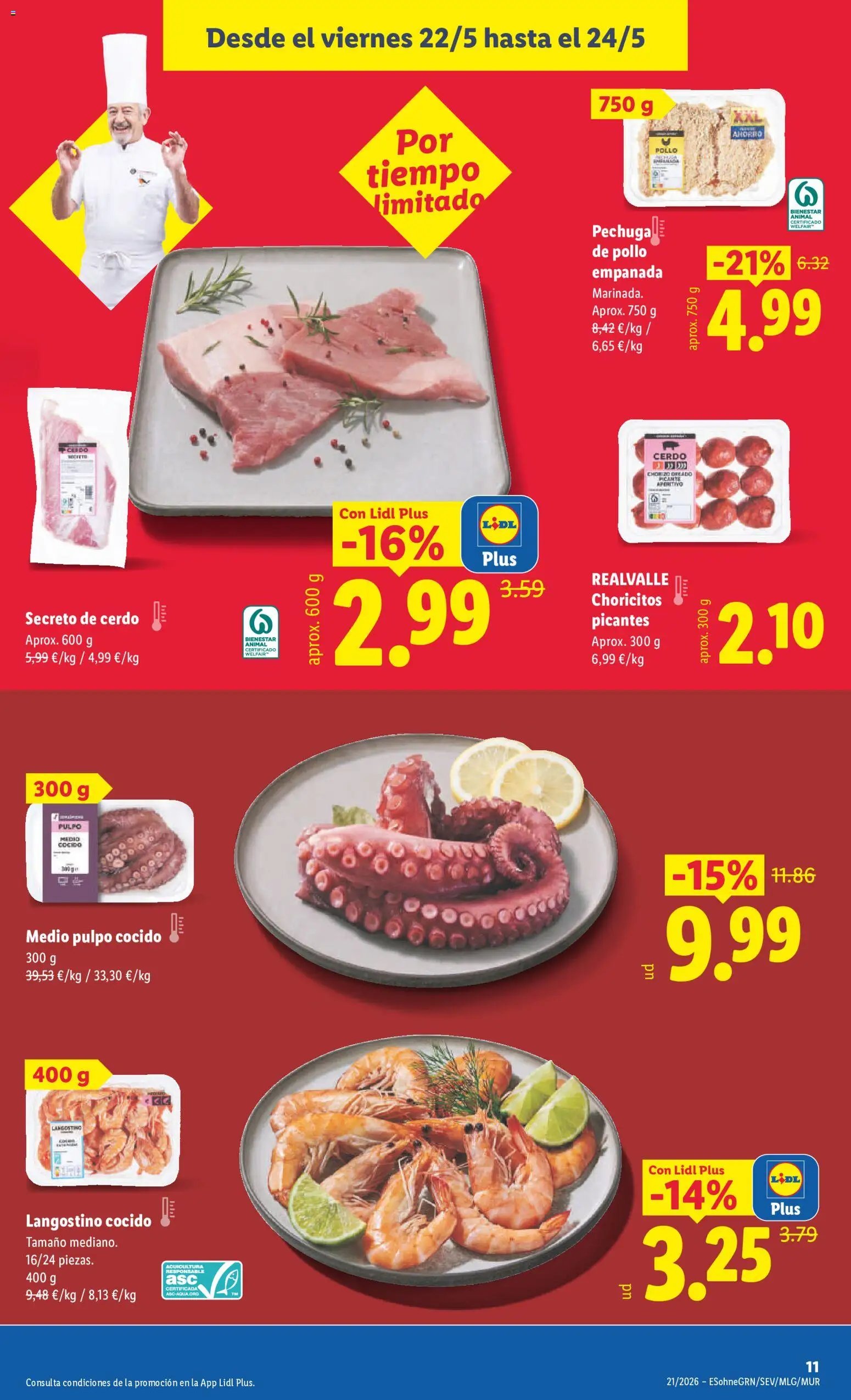 Lidl folleto