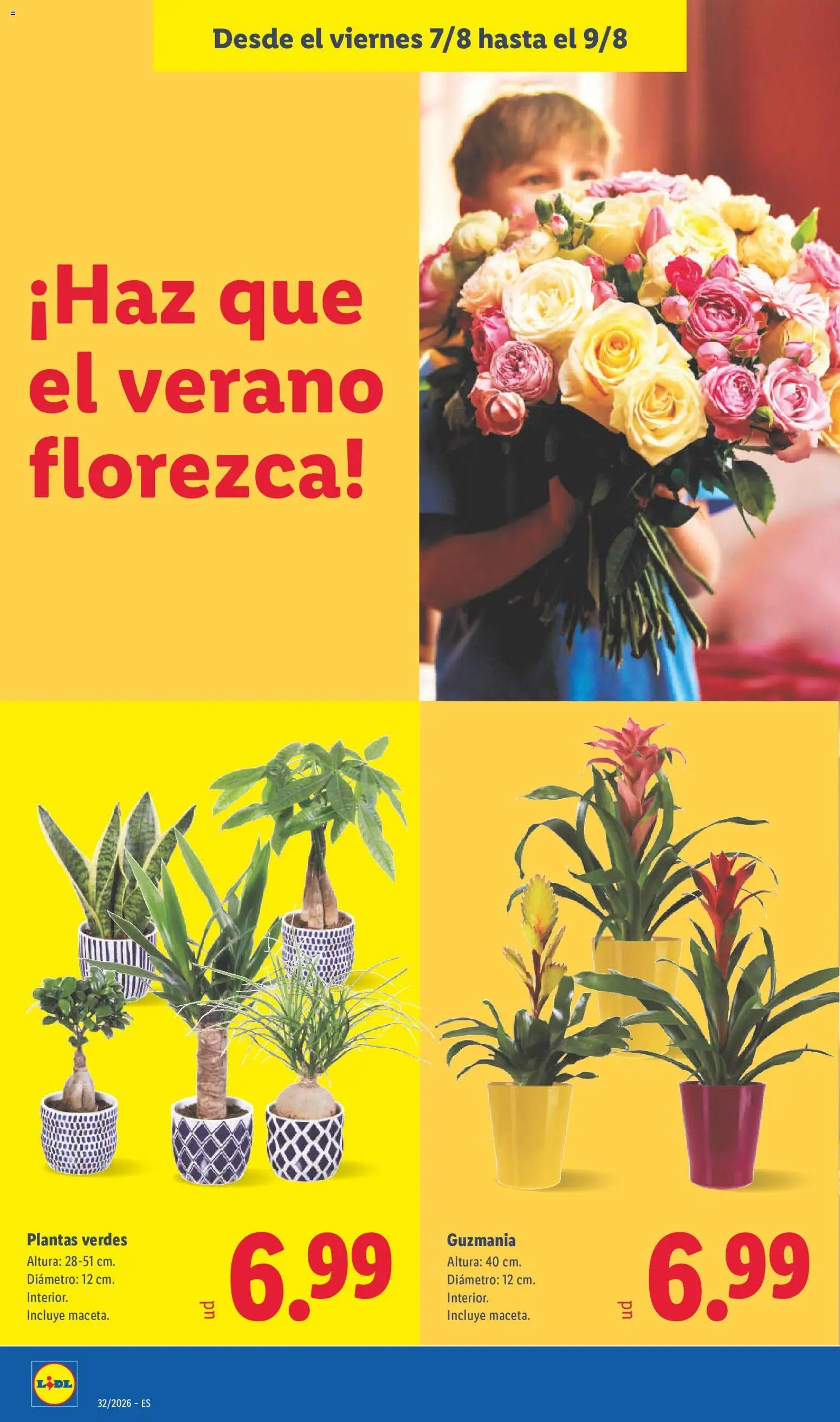 Lidl folleto