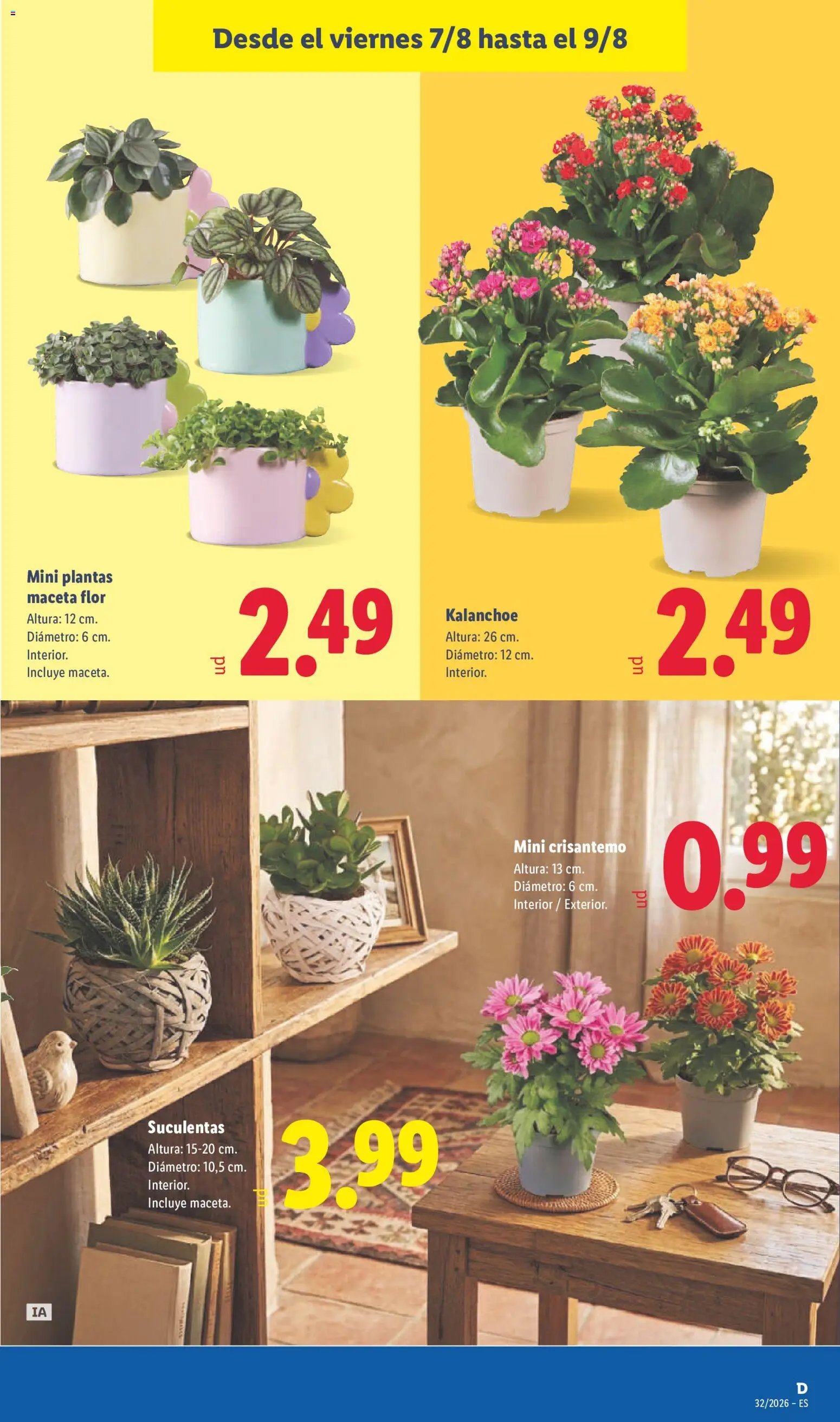 Lidl folleto