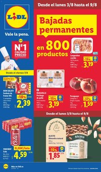 Lidl folleto