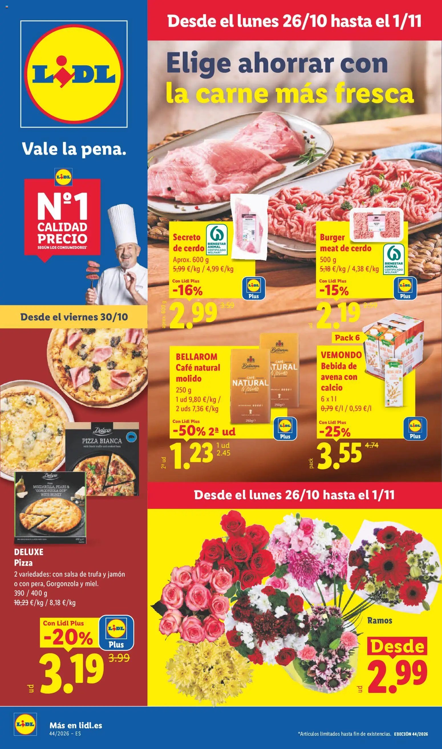 Lidl folleto