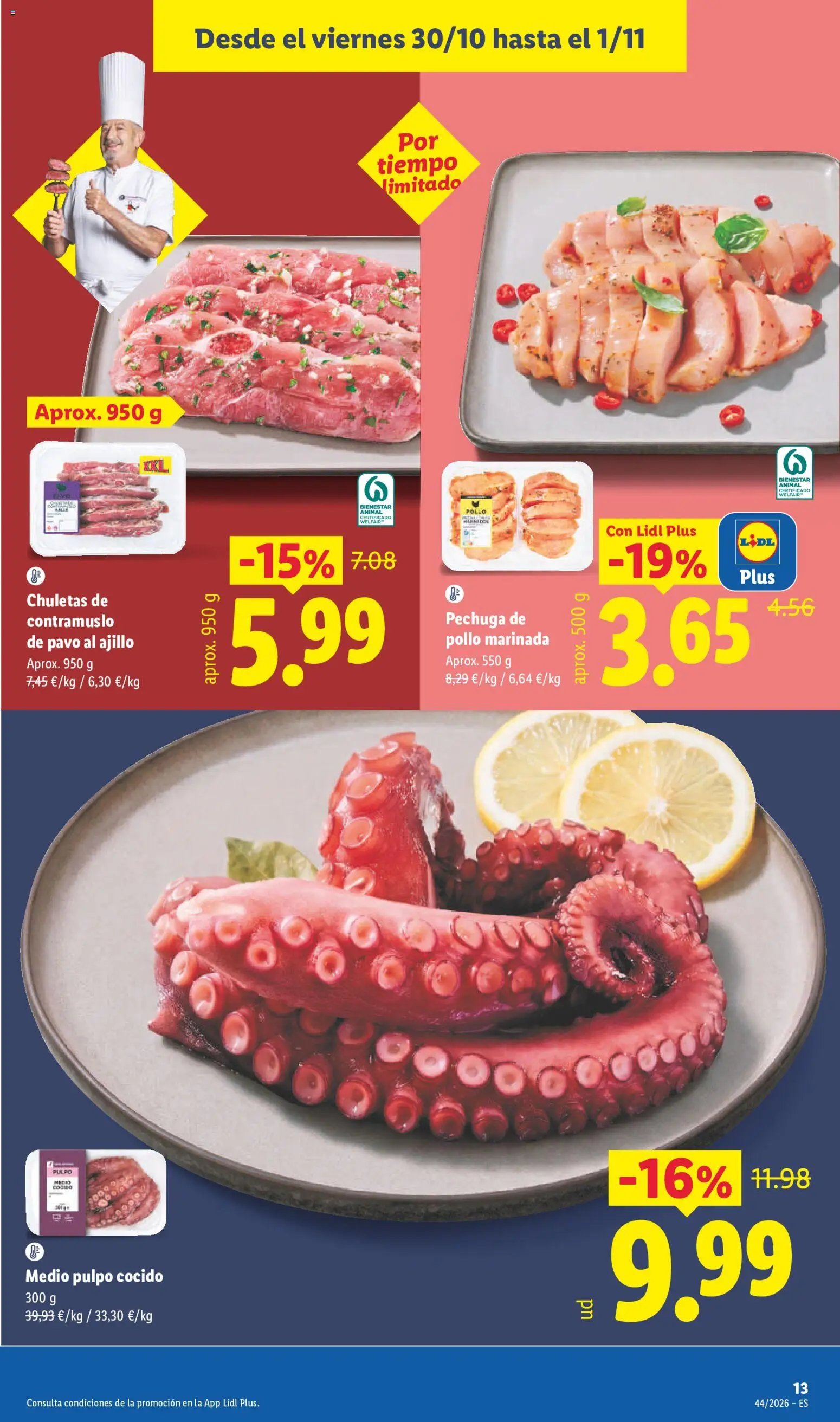 Lidl folleto