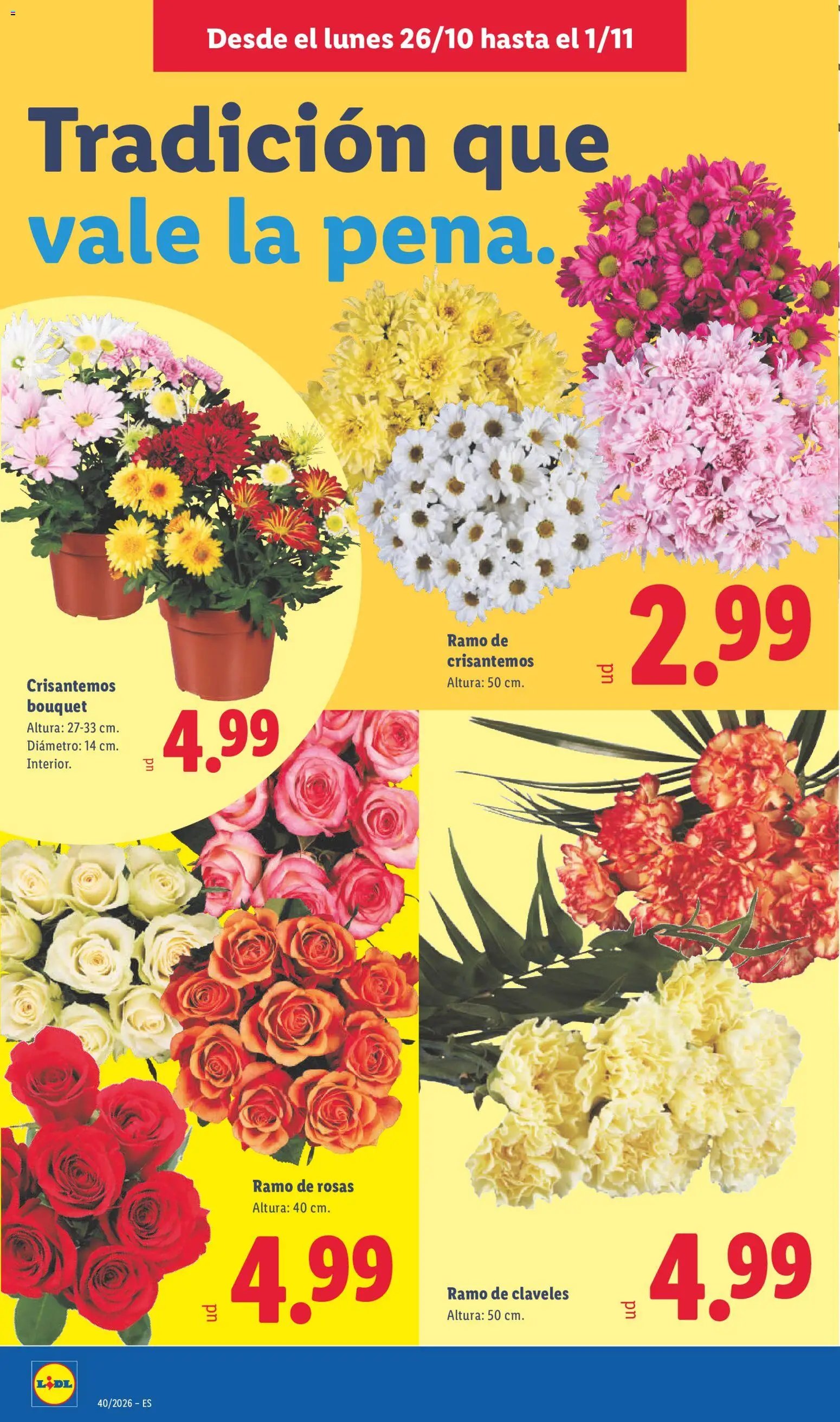 Lidl folleto