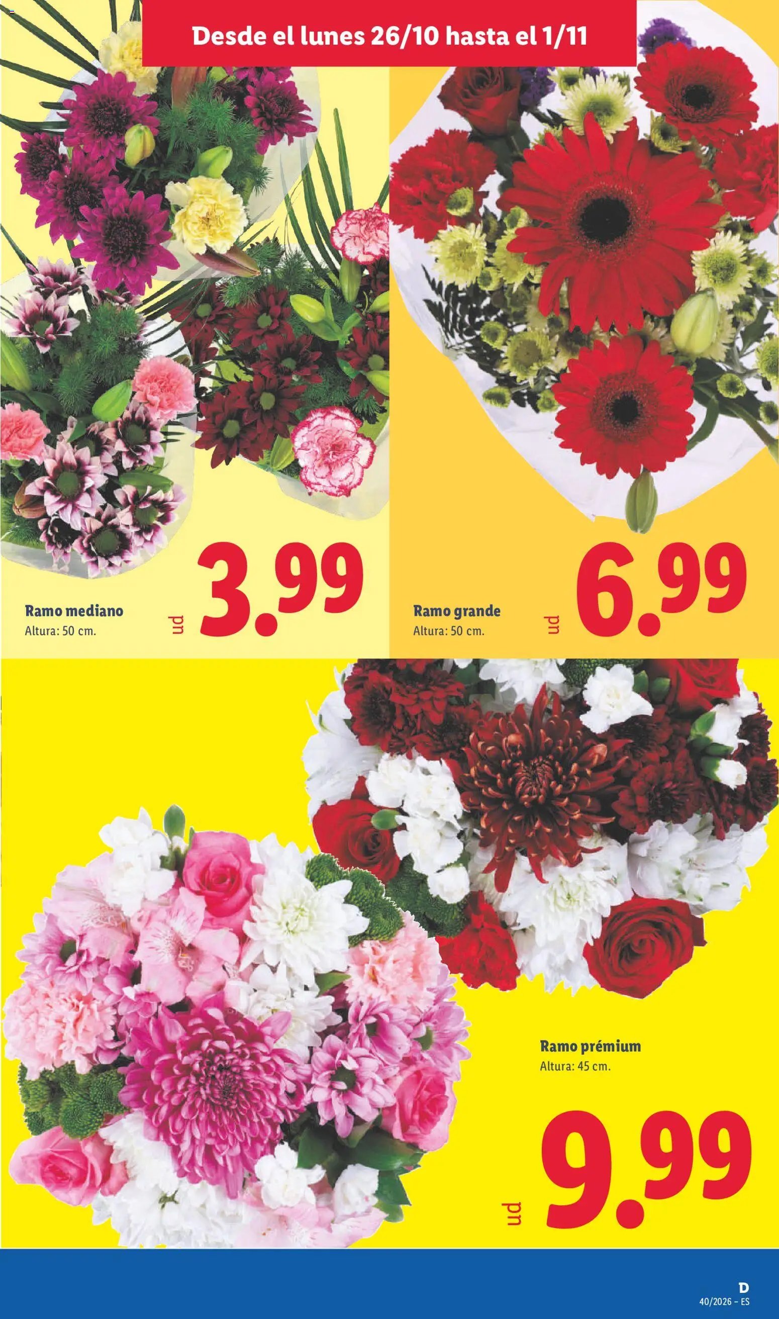 Lidl folleto