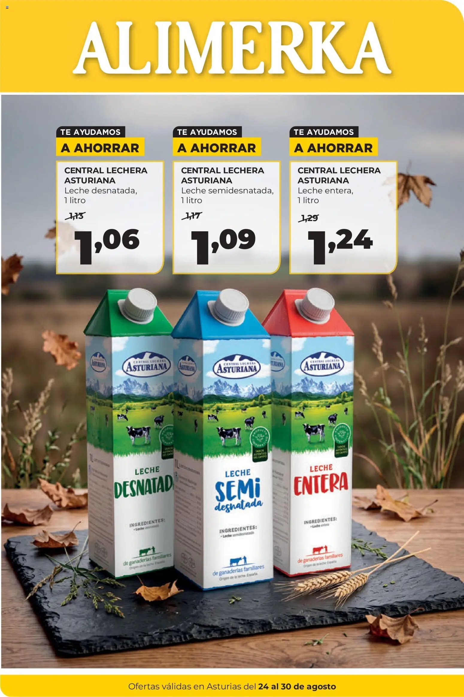 Alimerka folleto