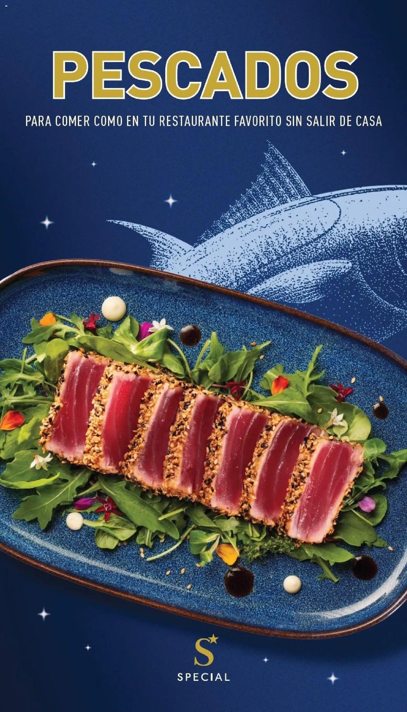 Aldi - Catalogo Special Canarias