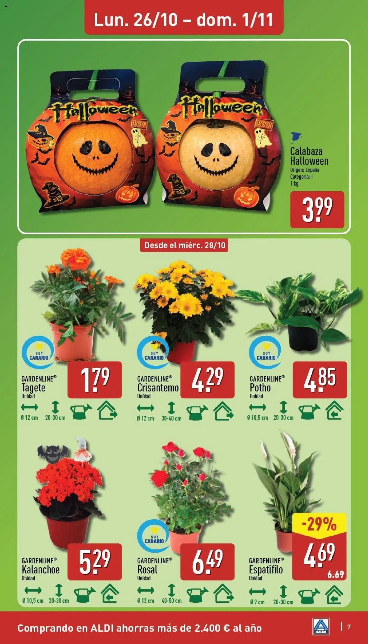 Aldi folleto Canarias