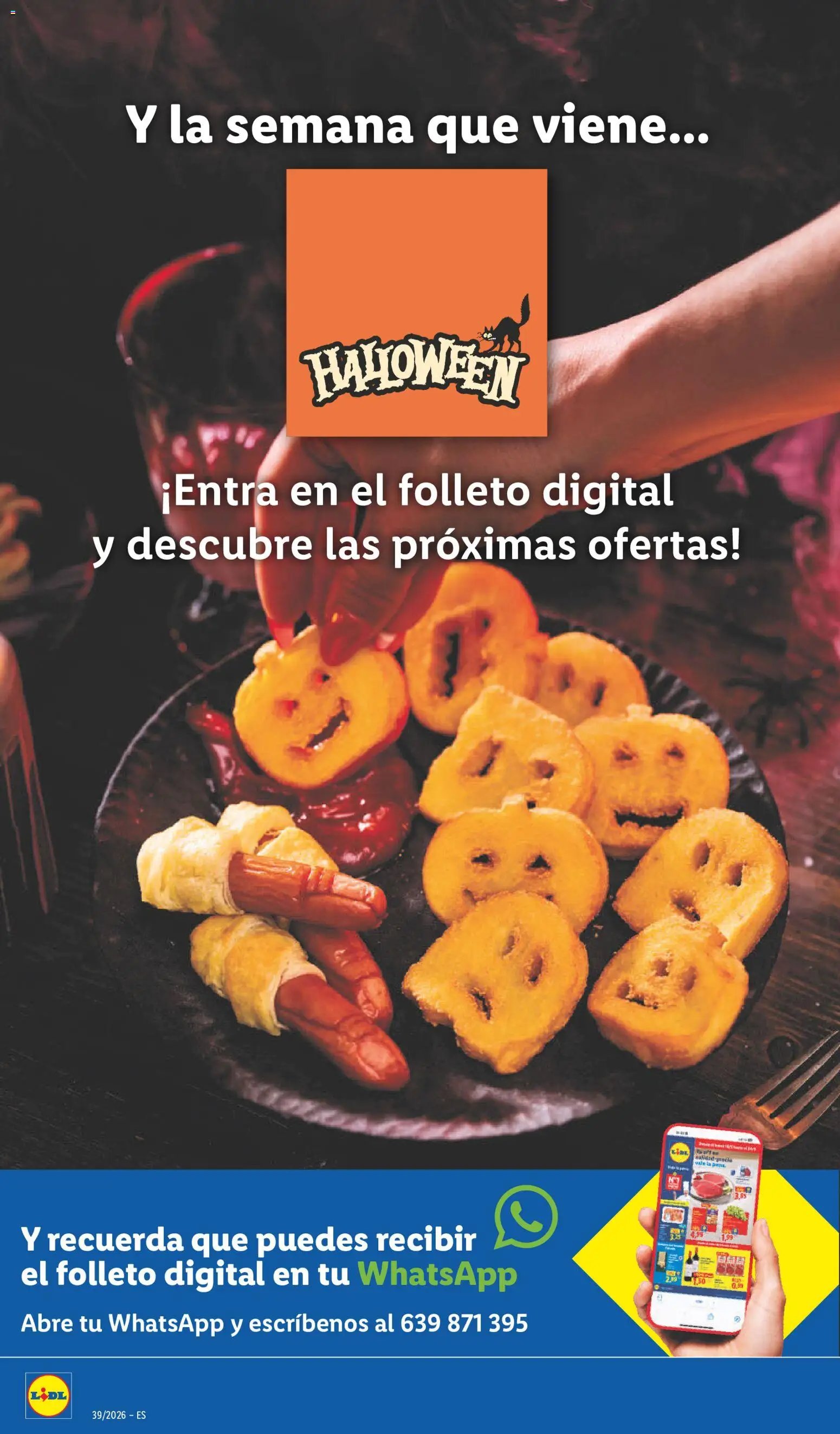 Lidl folleto de bazar