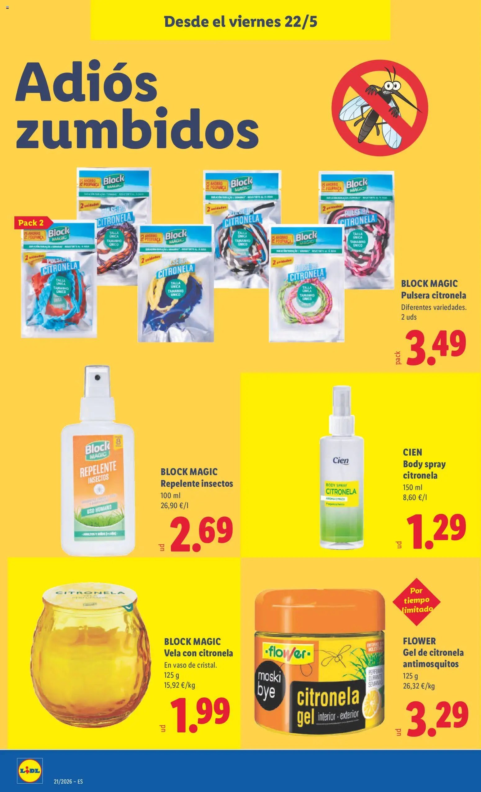 Lidl folleto de bazar