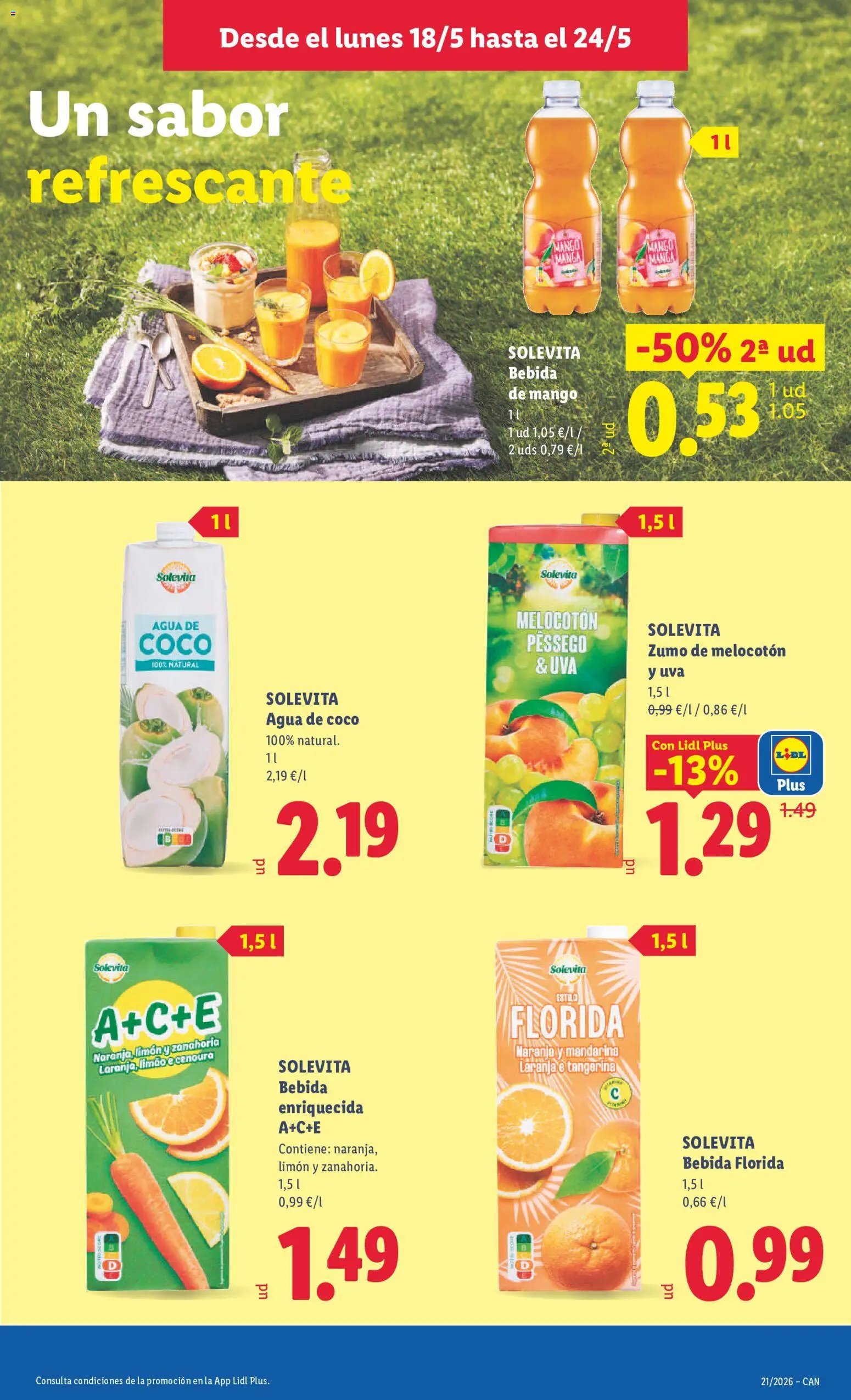 Lidl folleto