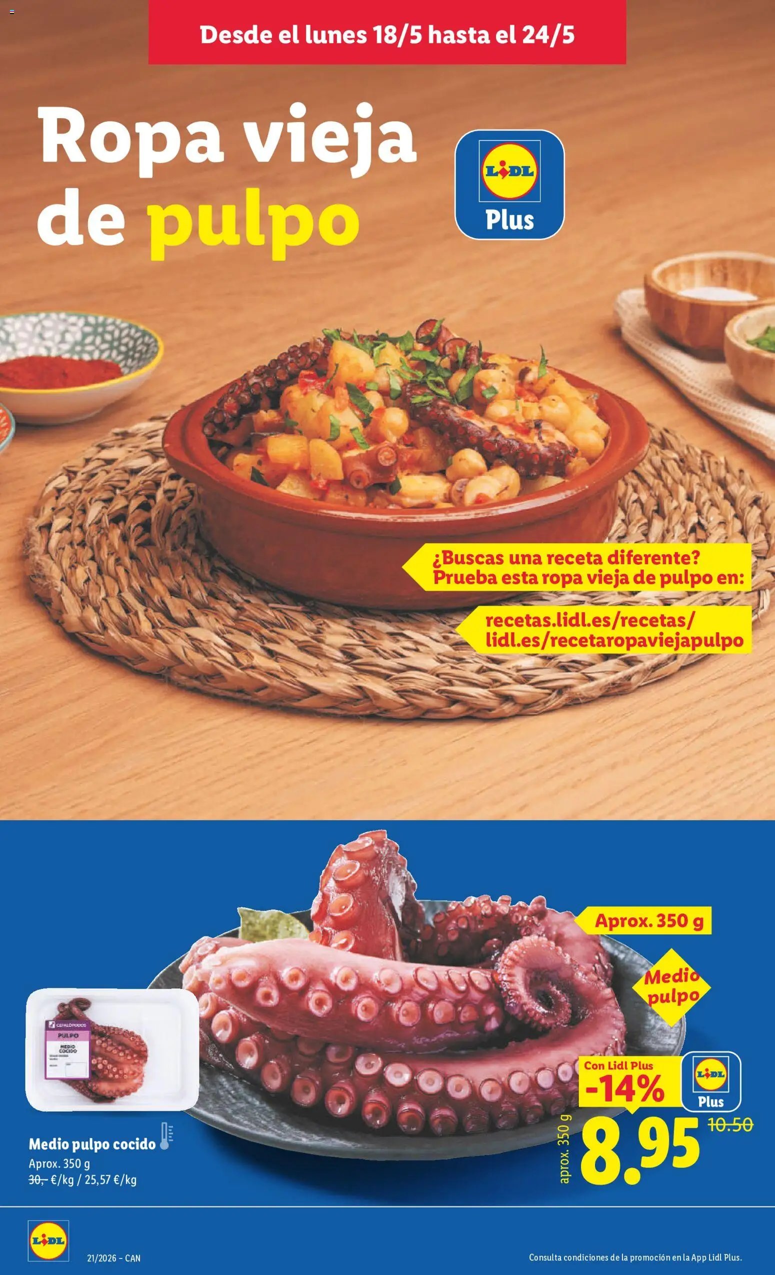 Lidl folleto