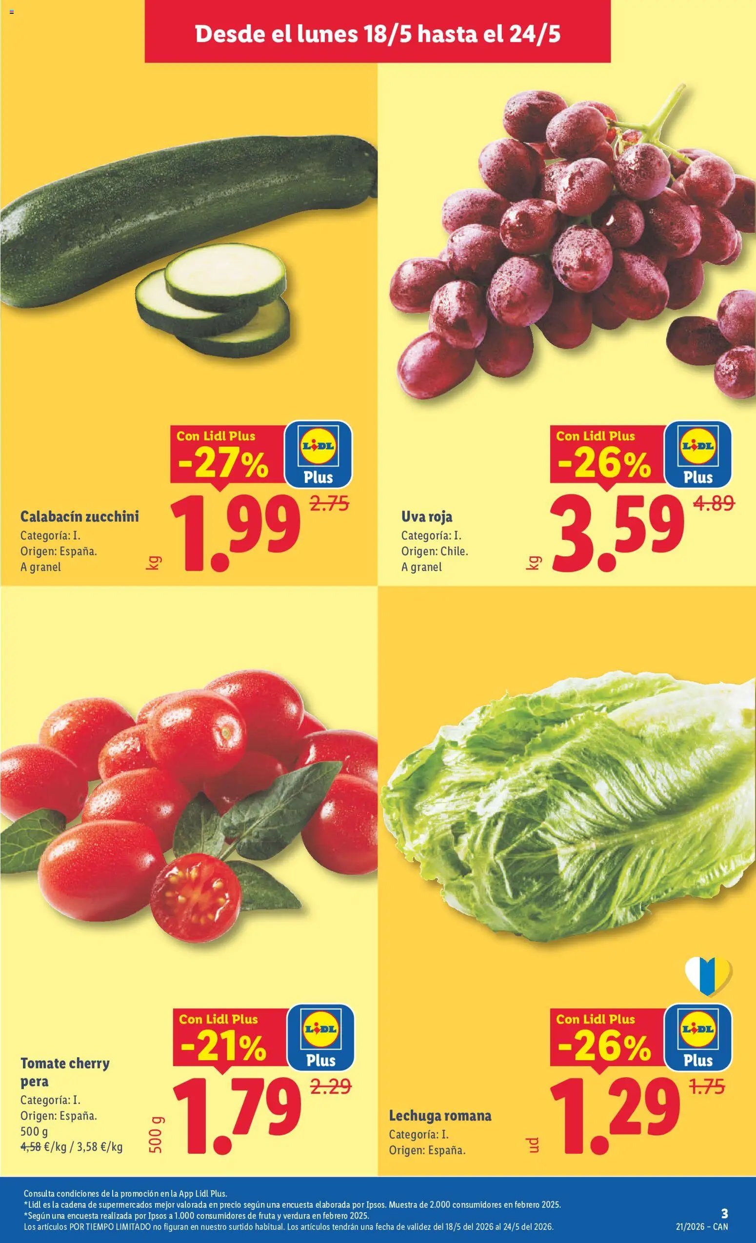 Lidl folleto
