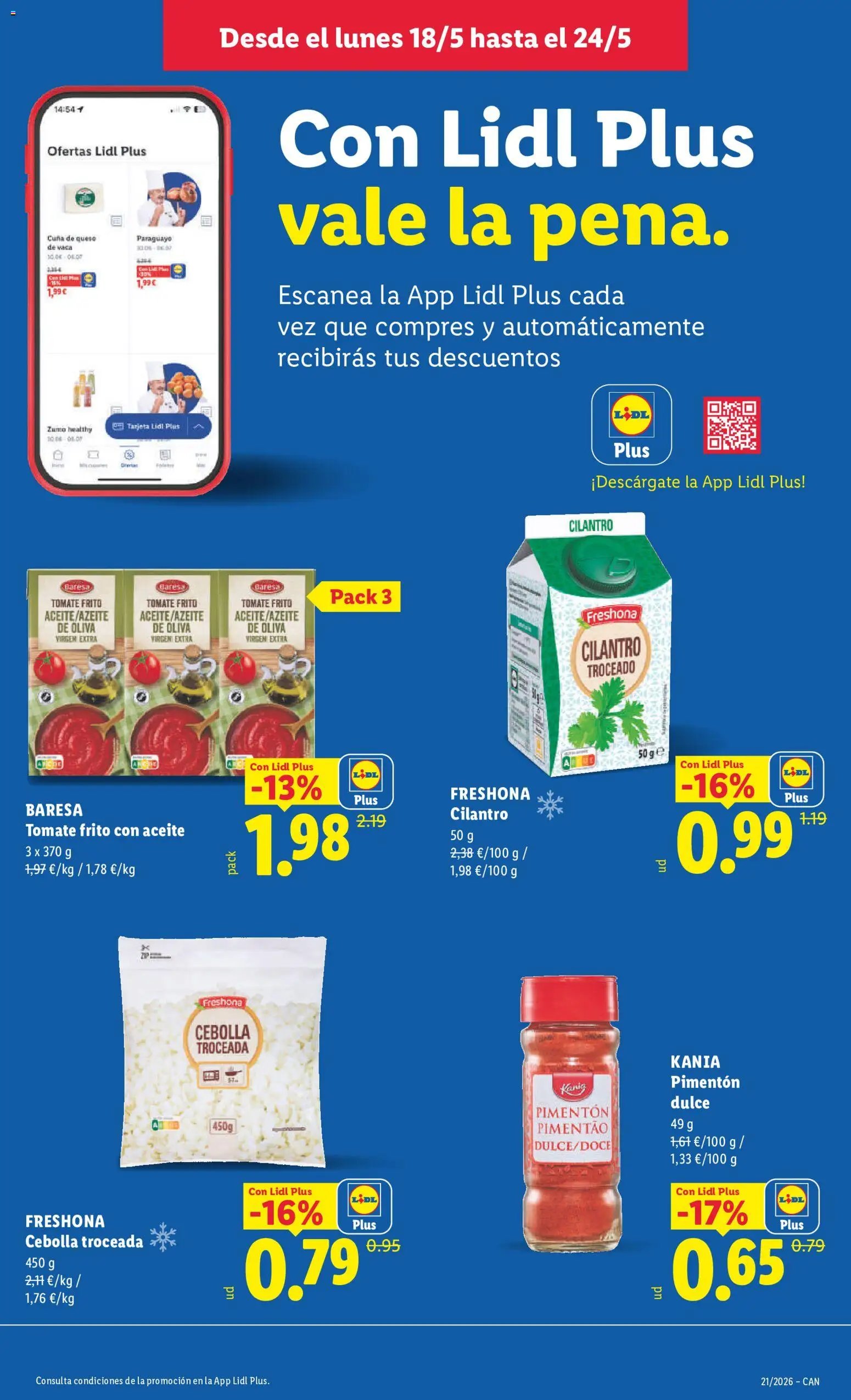 Lidl folleto