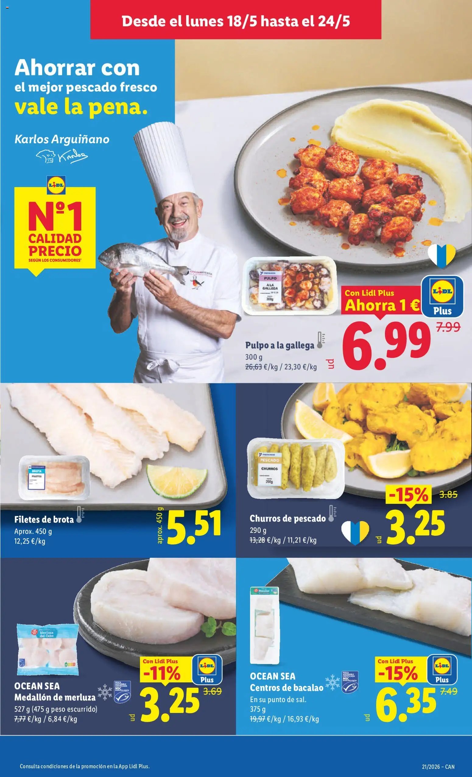 Lidl folleto