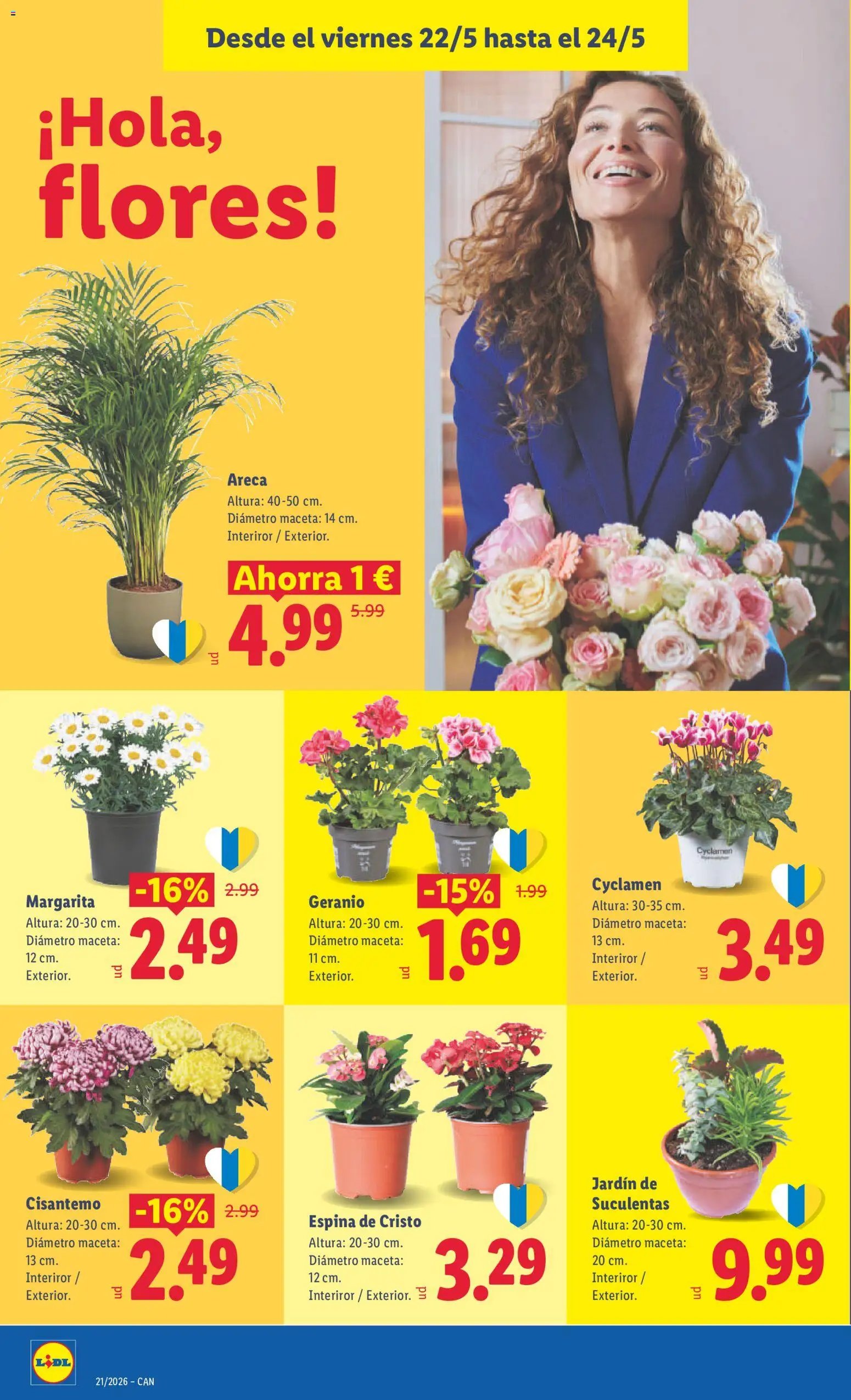 Lidl folleto