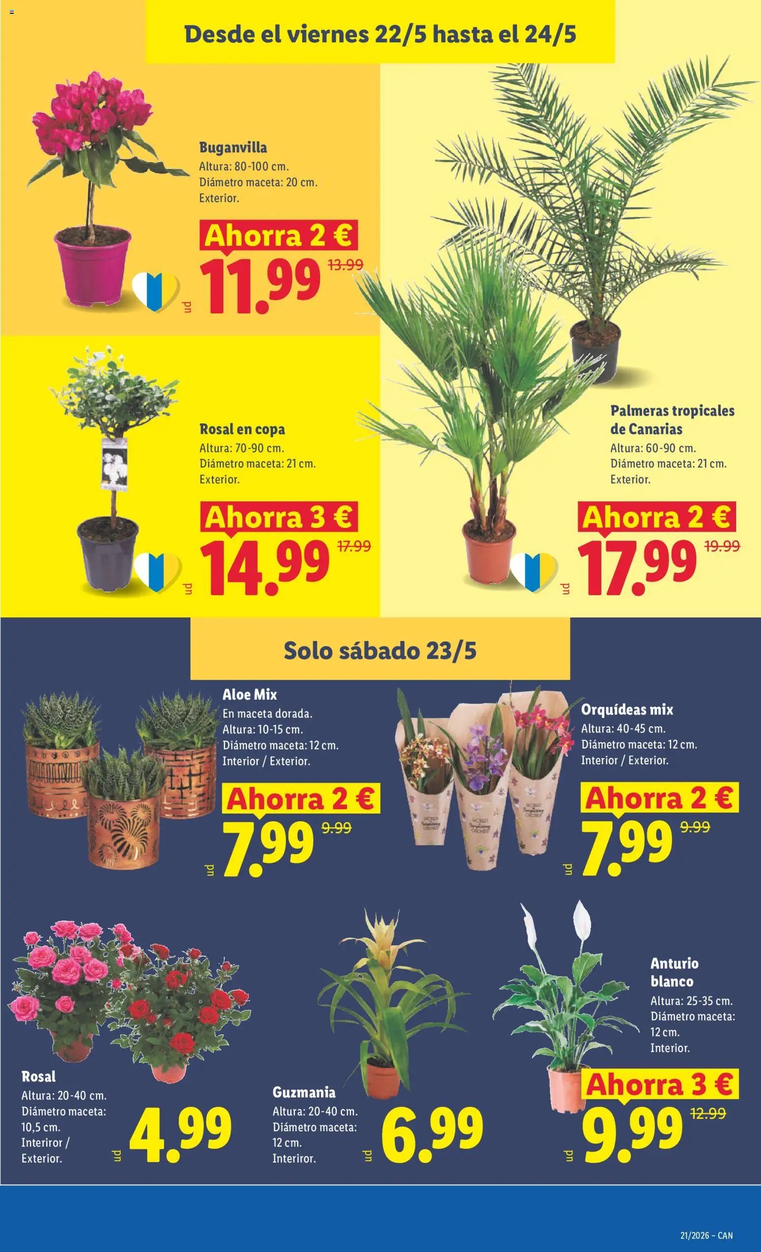 Lidl folleto