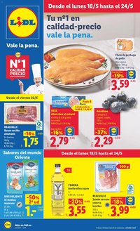 Lidl folleto
