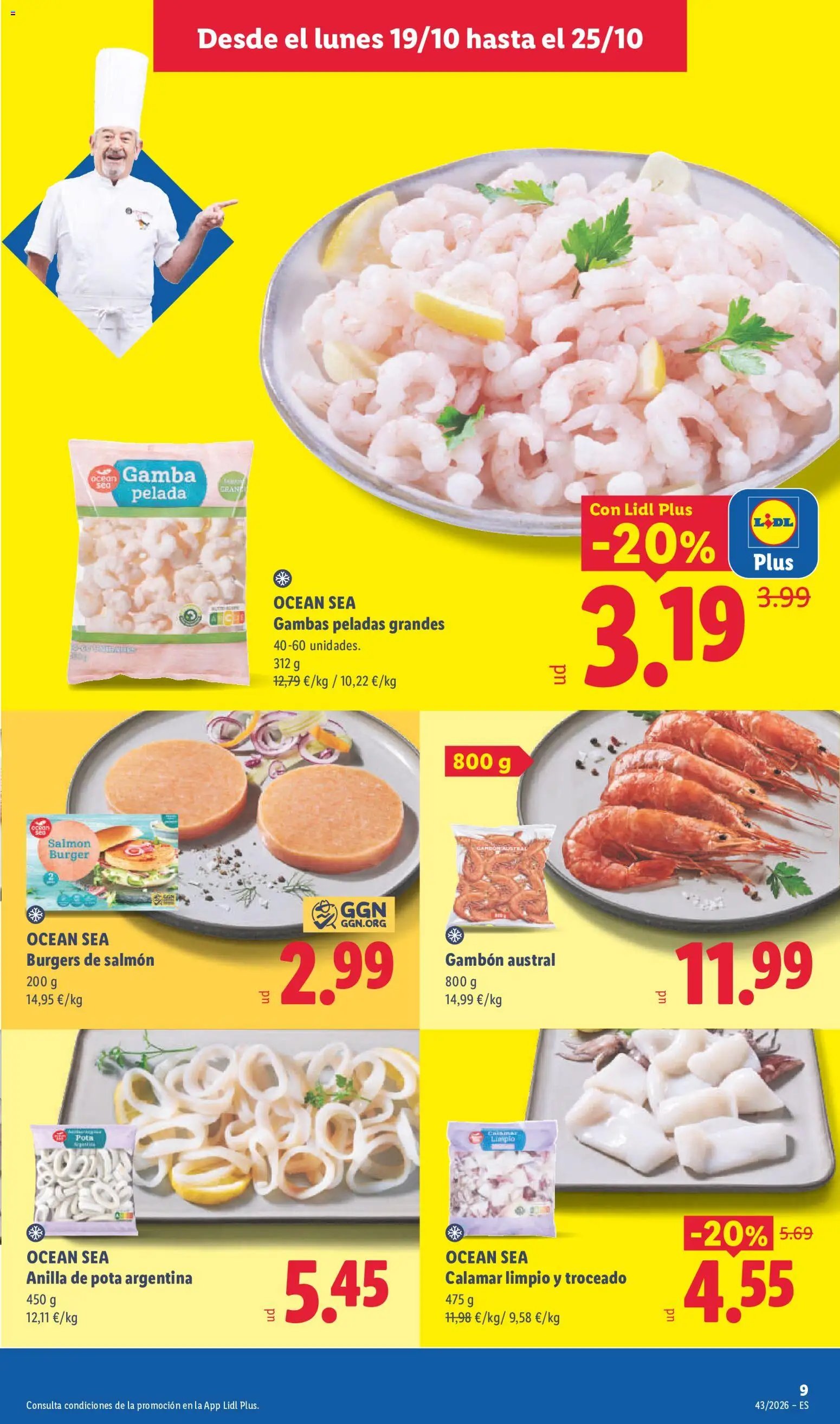 Lidl folleto