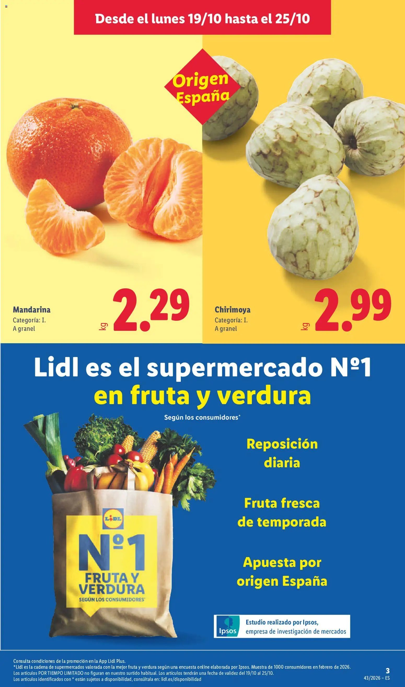 Lidl folleto