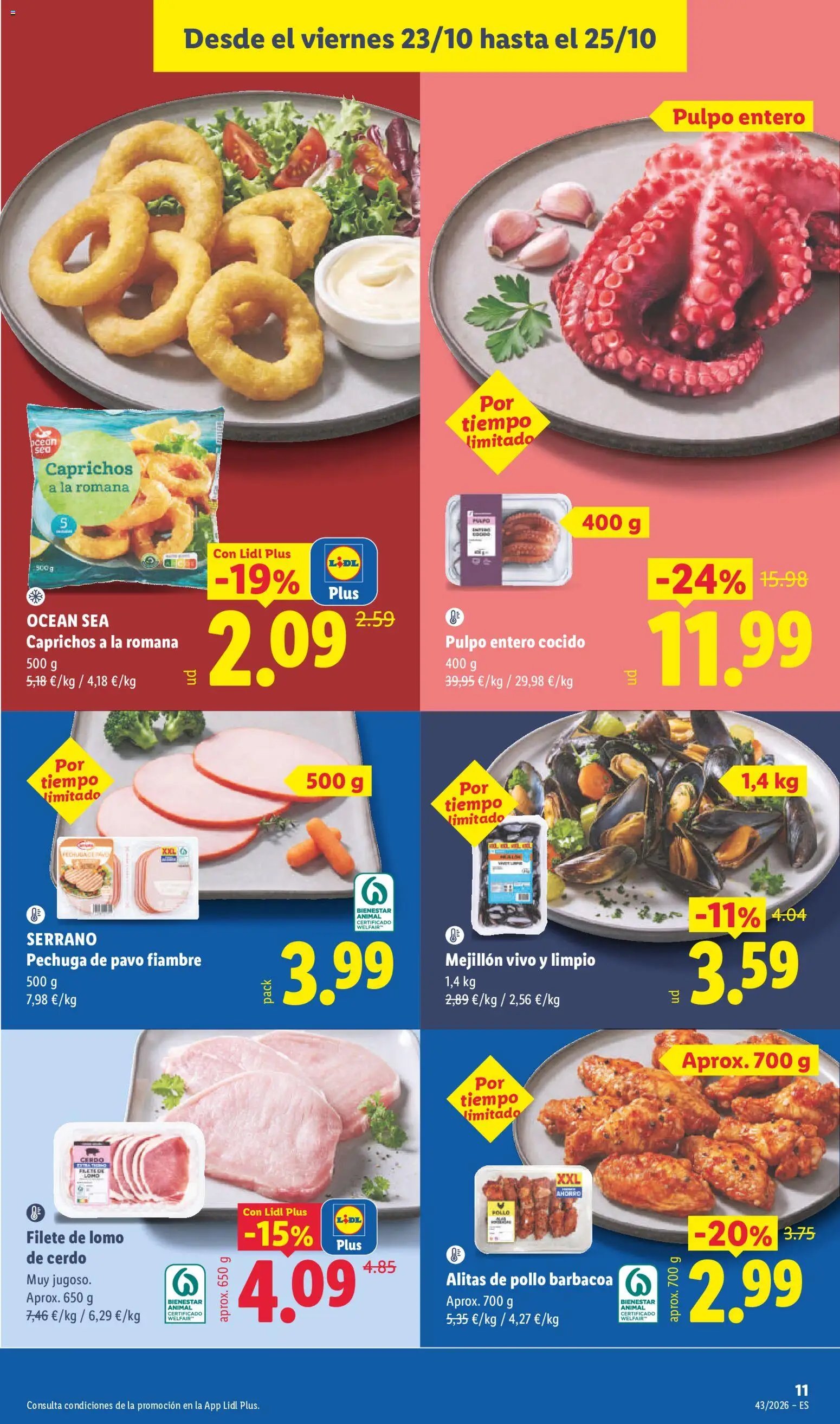 Lidl folleto