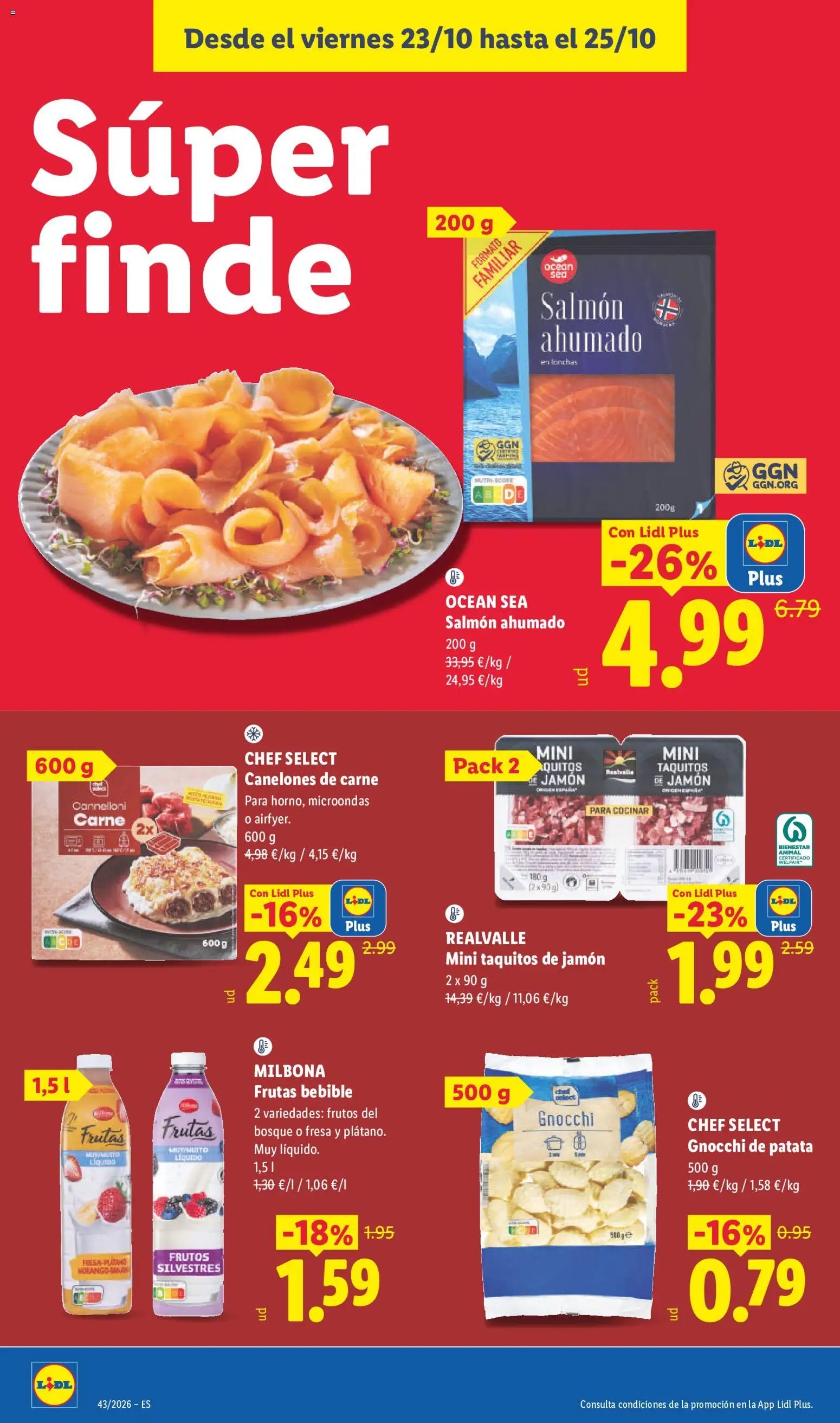 Lidl folleto