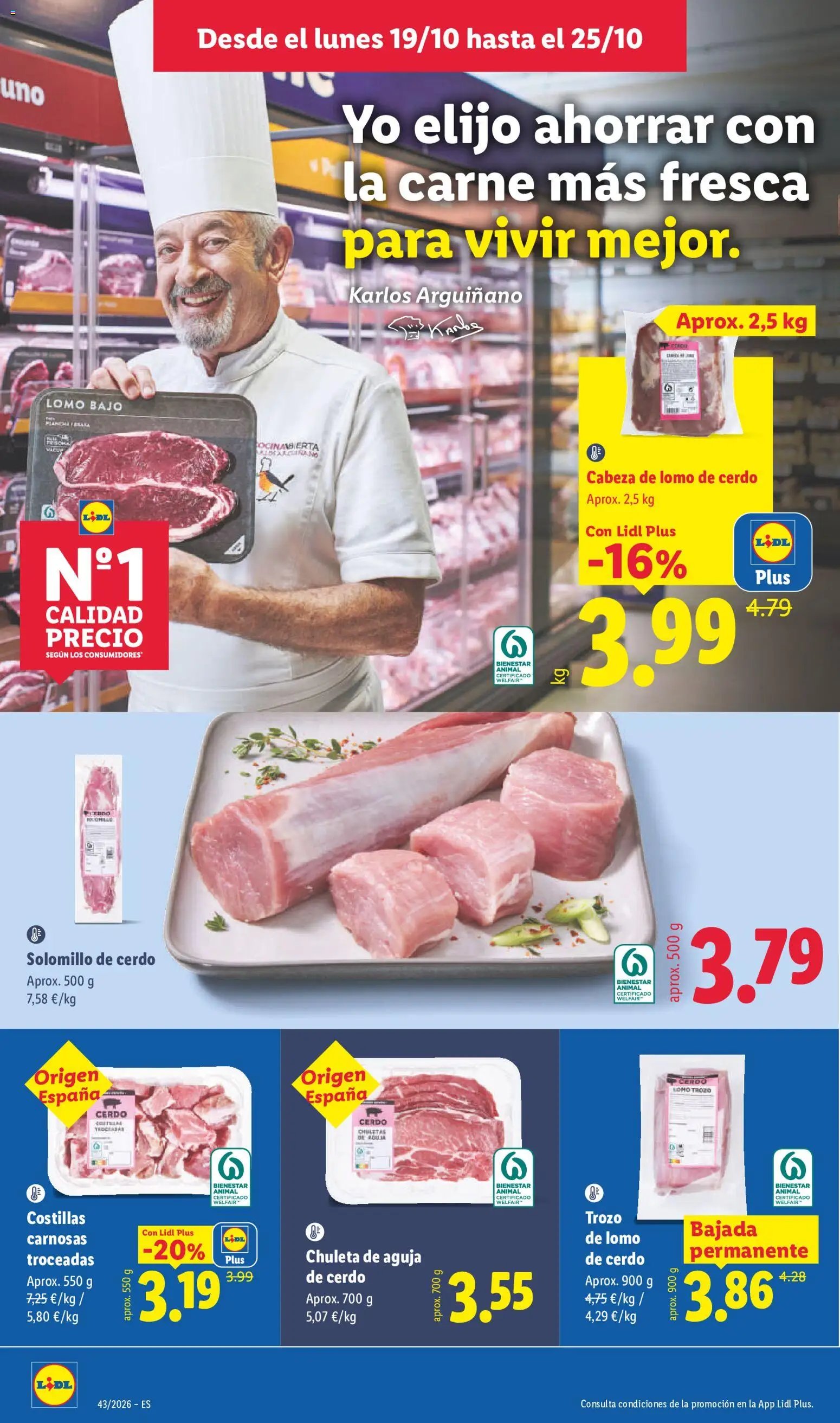 Lidl folleto