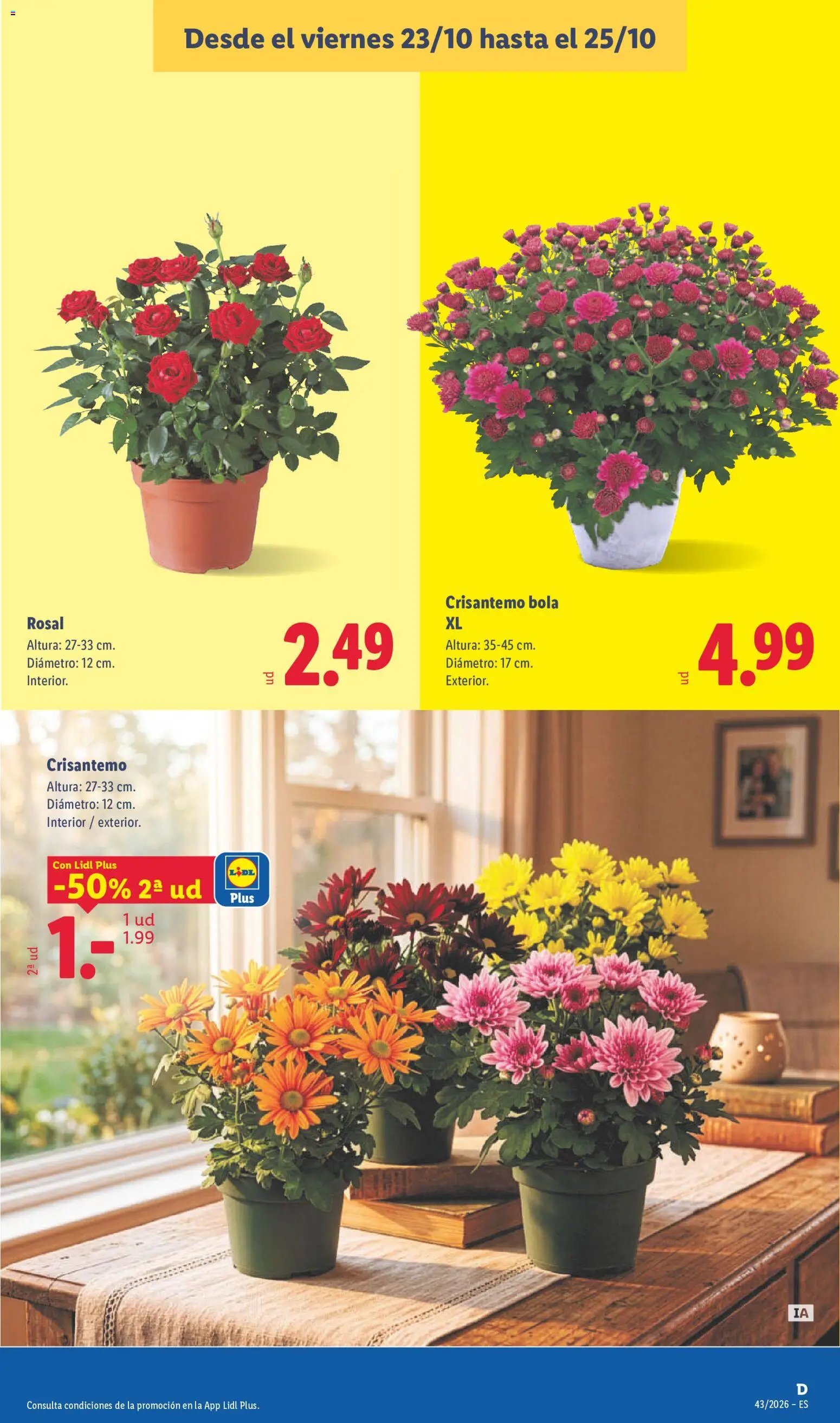 Lidl folleto