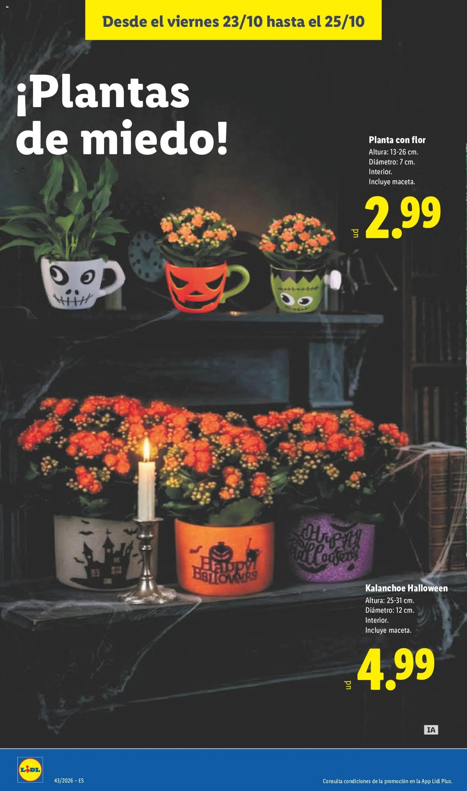 Lidl folleto