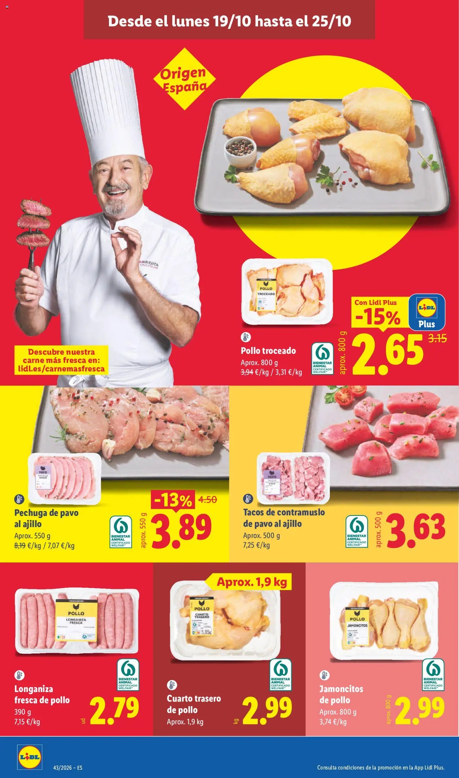 Lidl folleto
