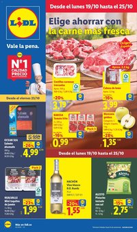 Lidl folleto