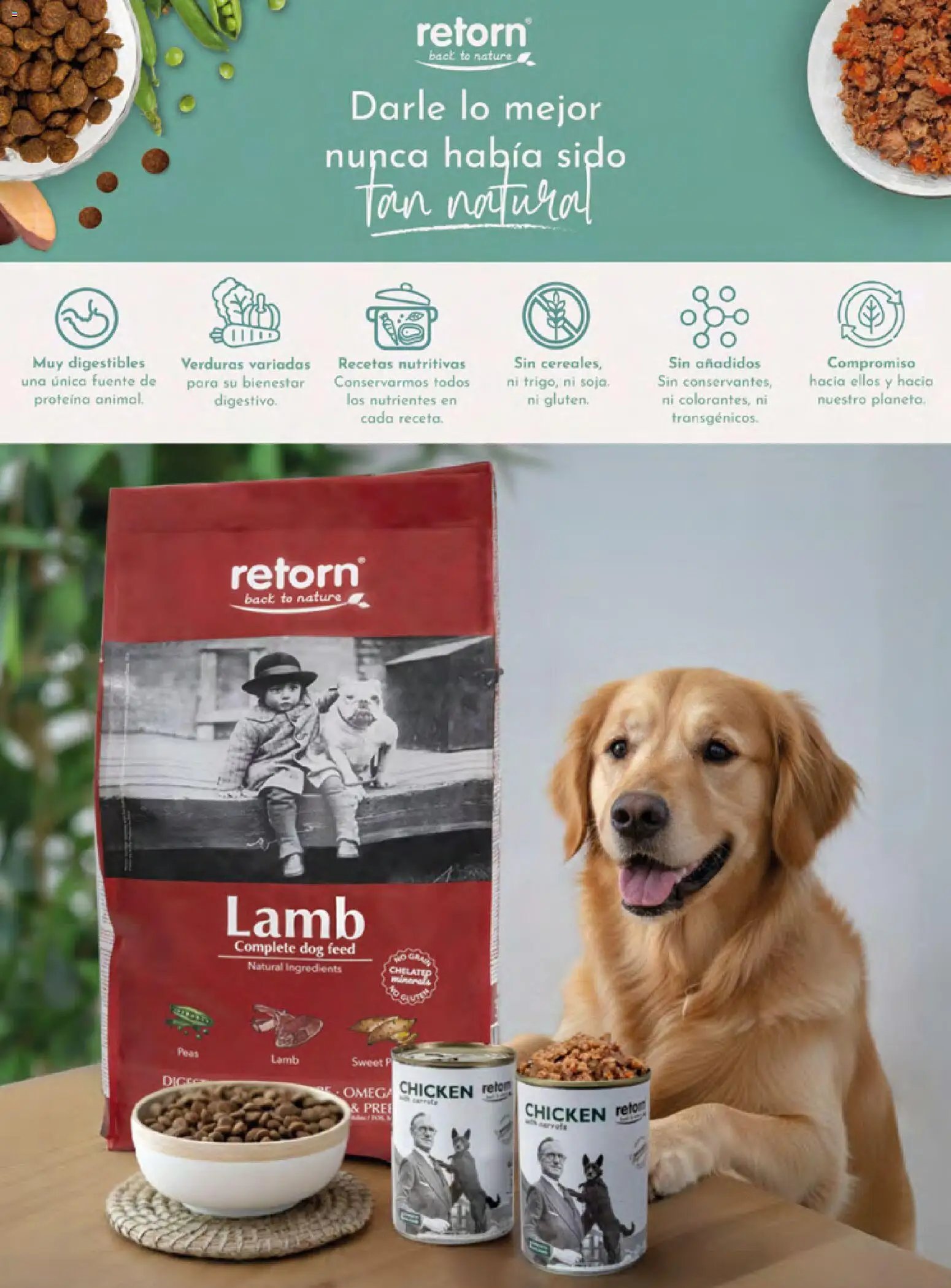 Costco catálogo