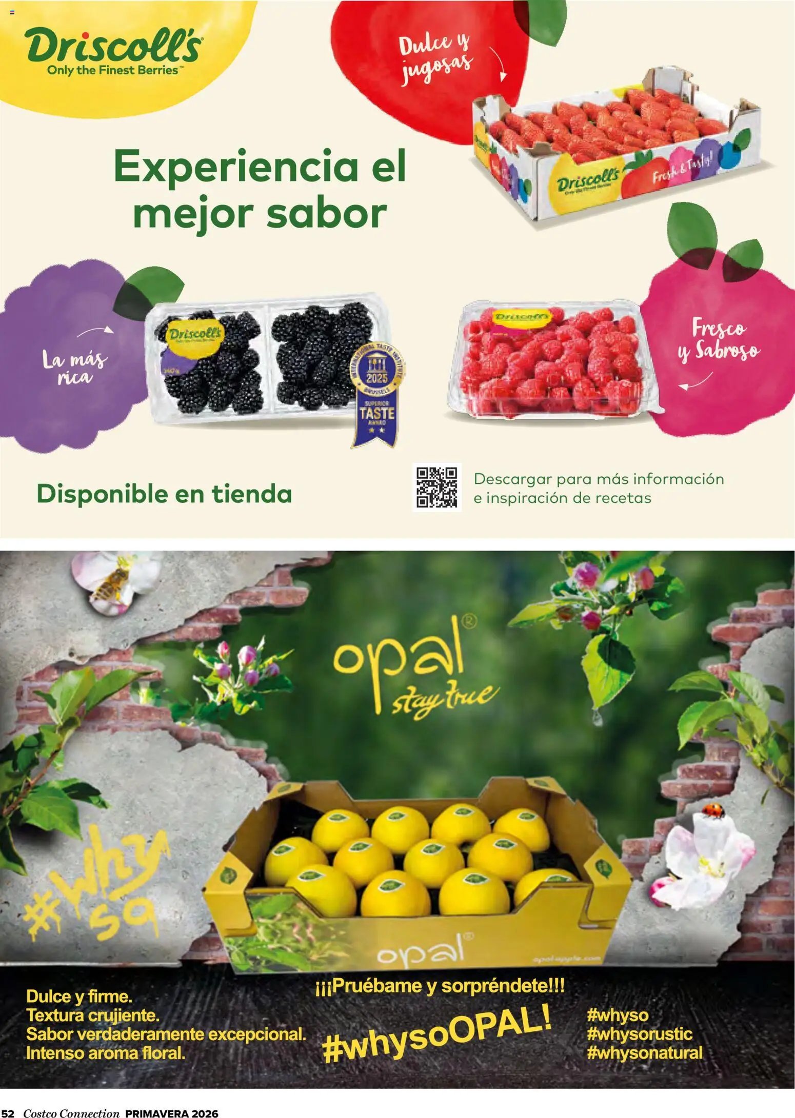 Costco catálogo