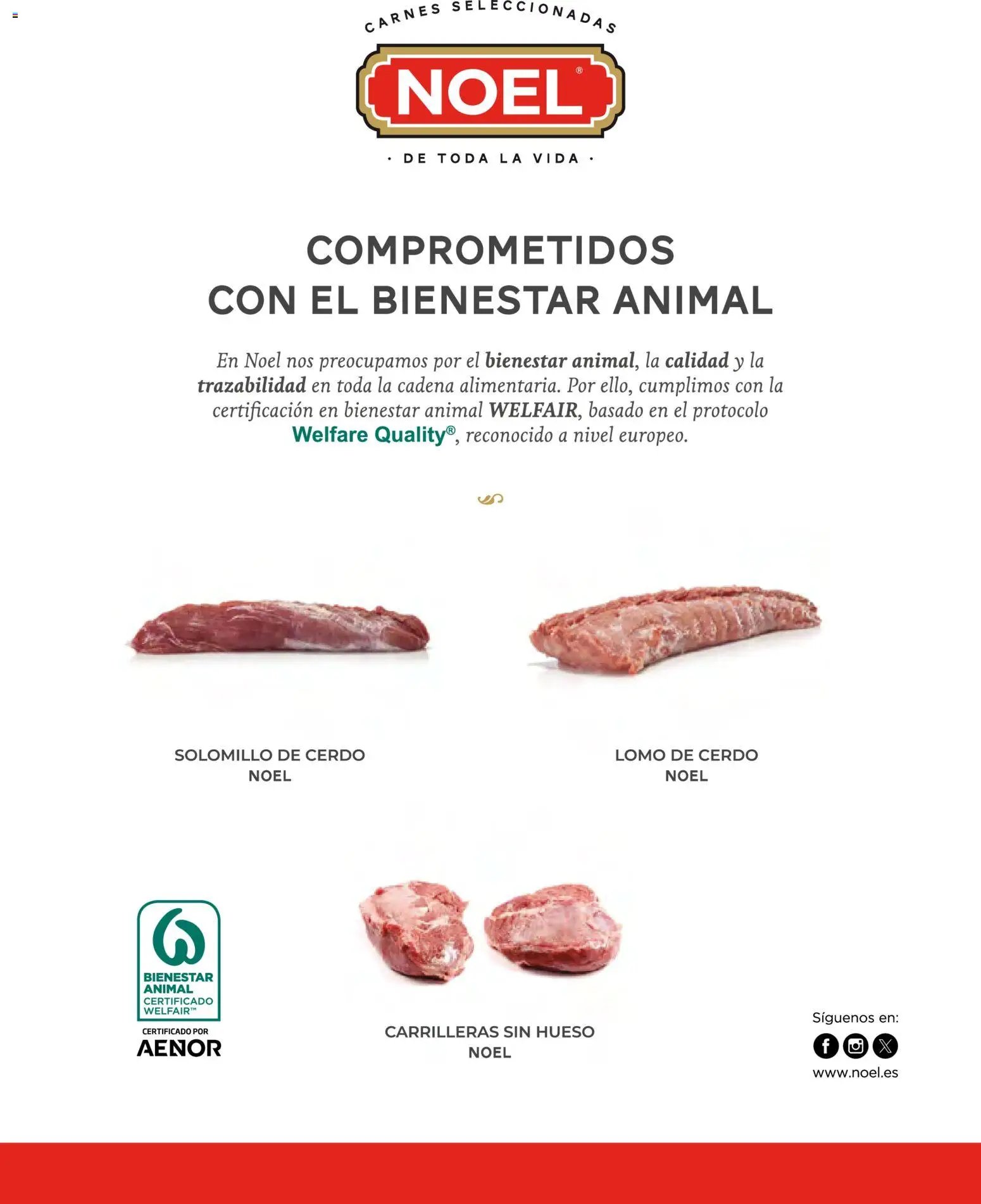 Costco catálogo