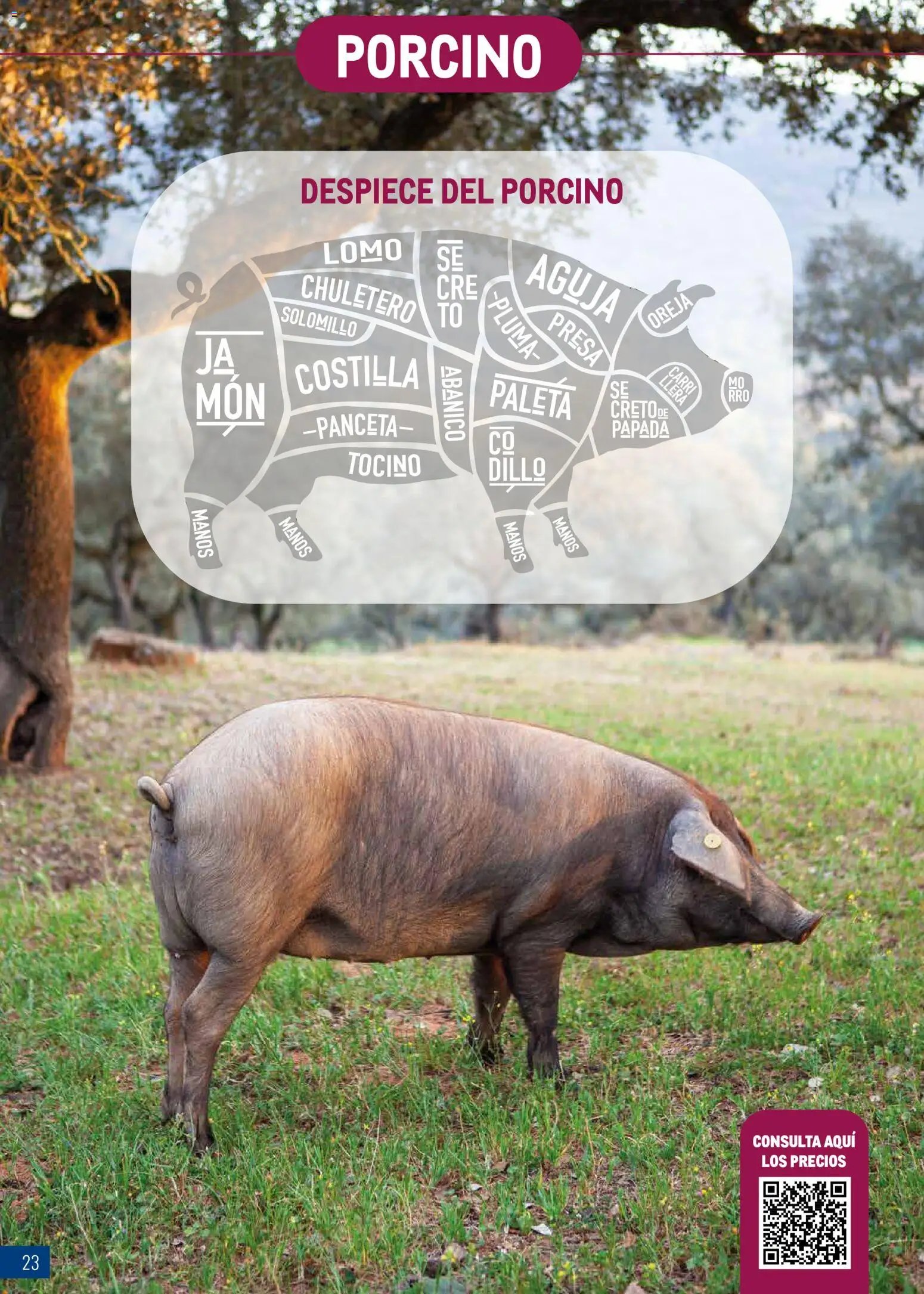 Makro Expertos en Carne Centro