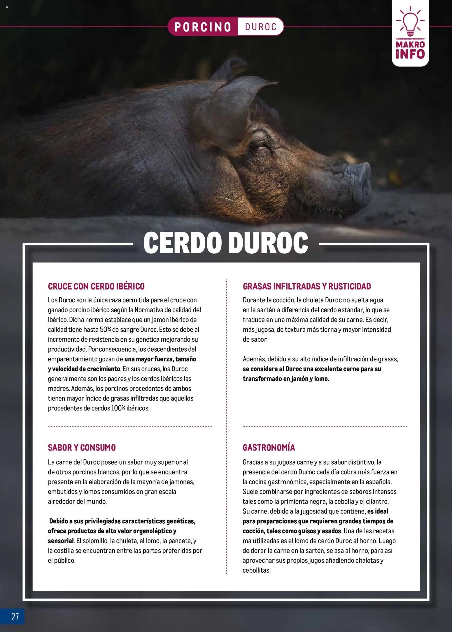 Makro Expertos en Carne Centro