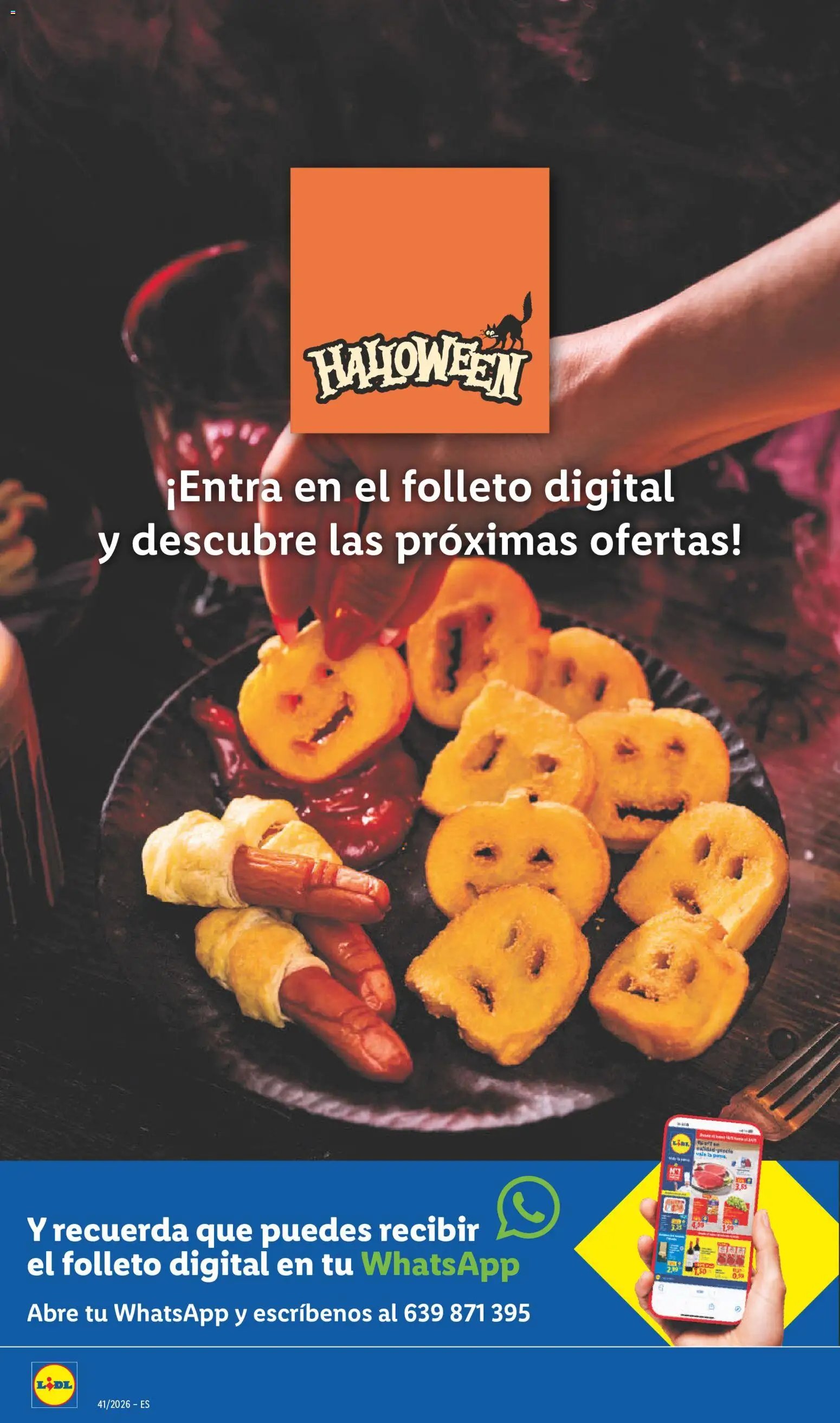 Lidl folleto de bazar
