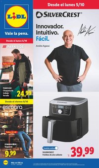 Lidl folleto de bazar