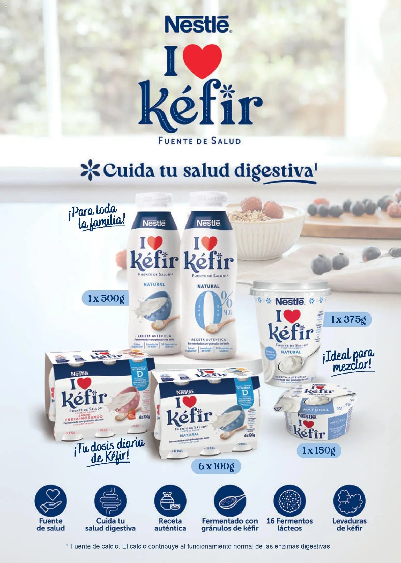 Alimerka folleto Asturias