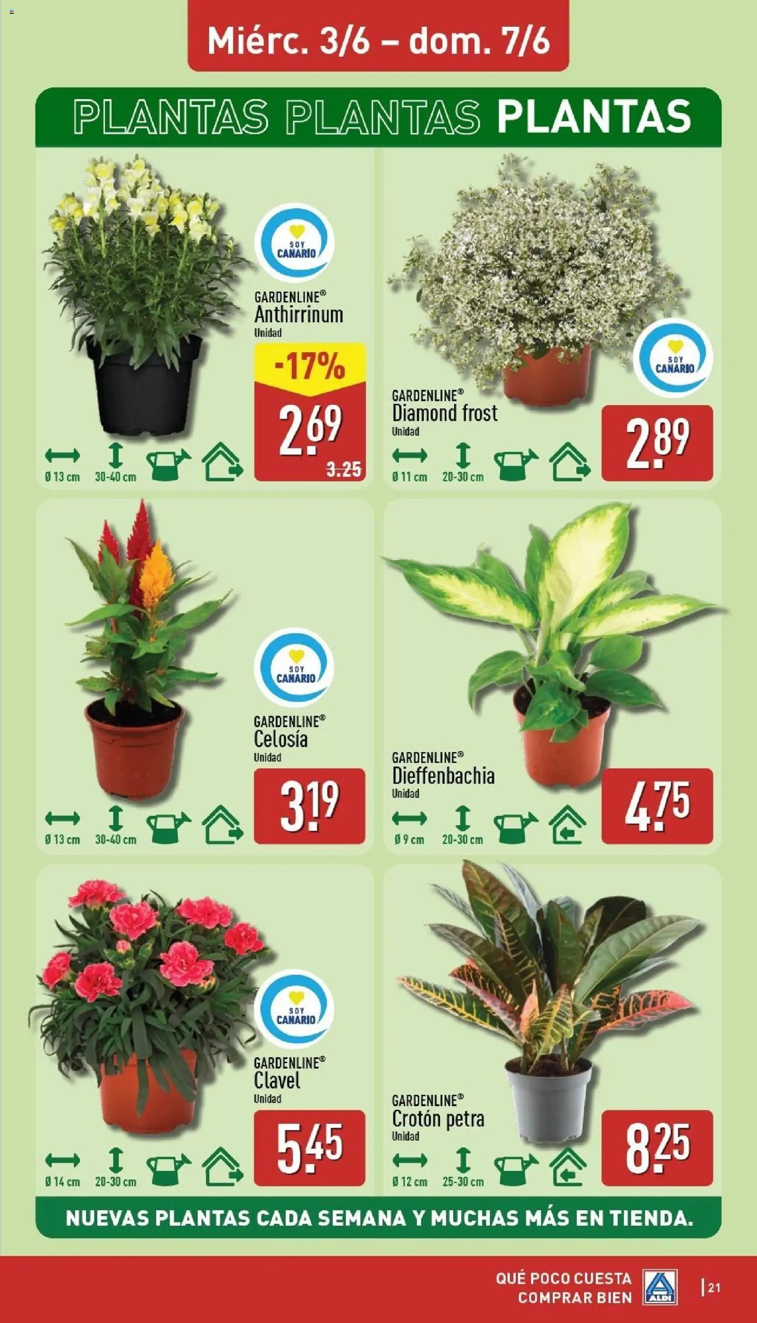 Aldi folleto Canarias