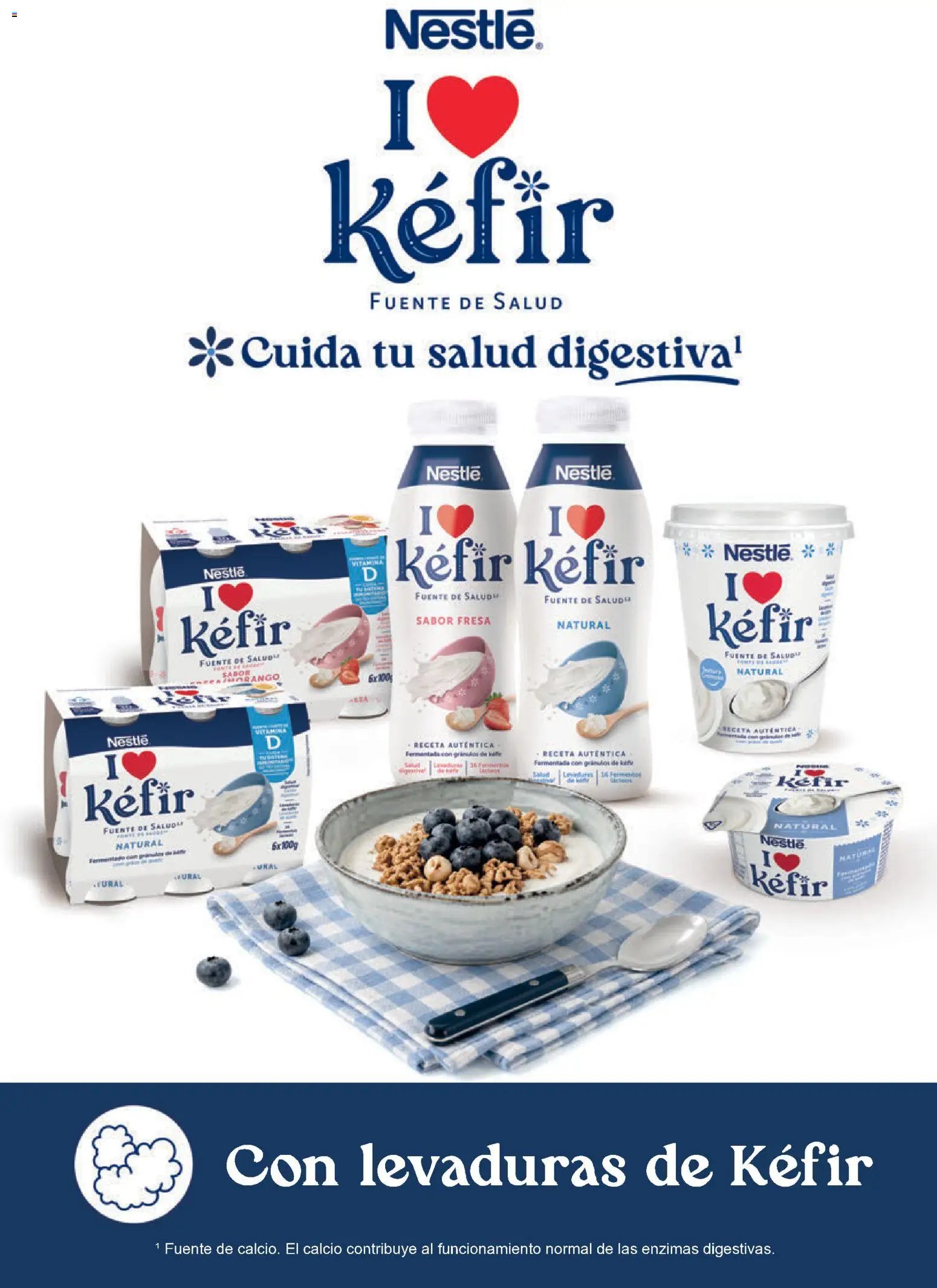 Alimerka folleto Castilla y León